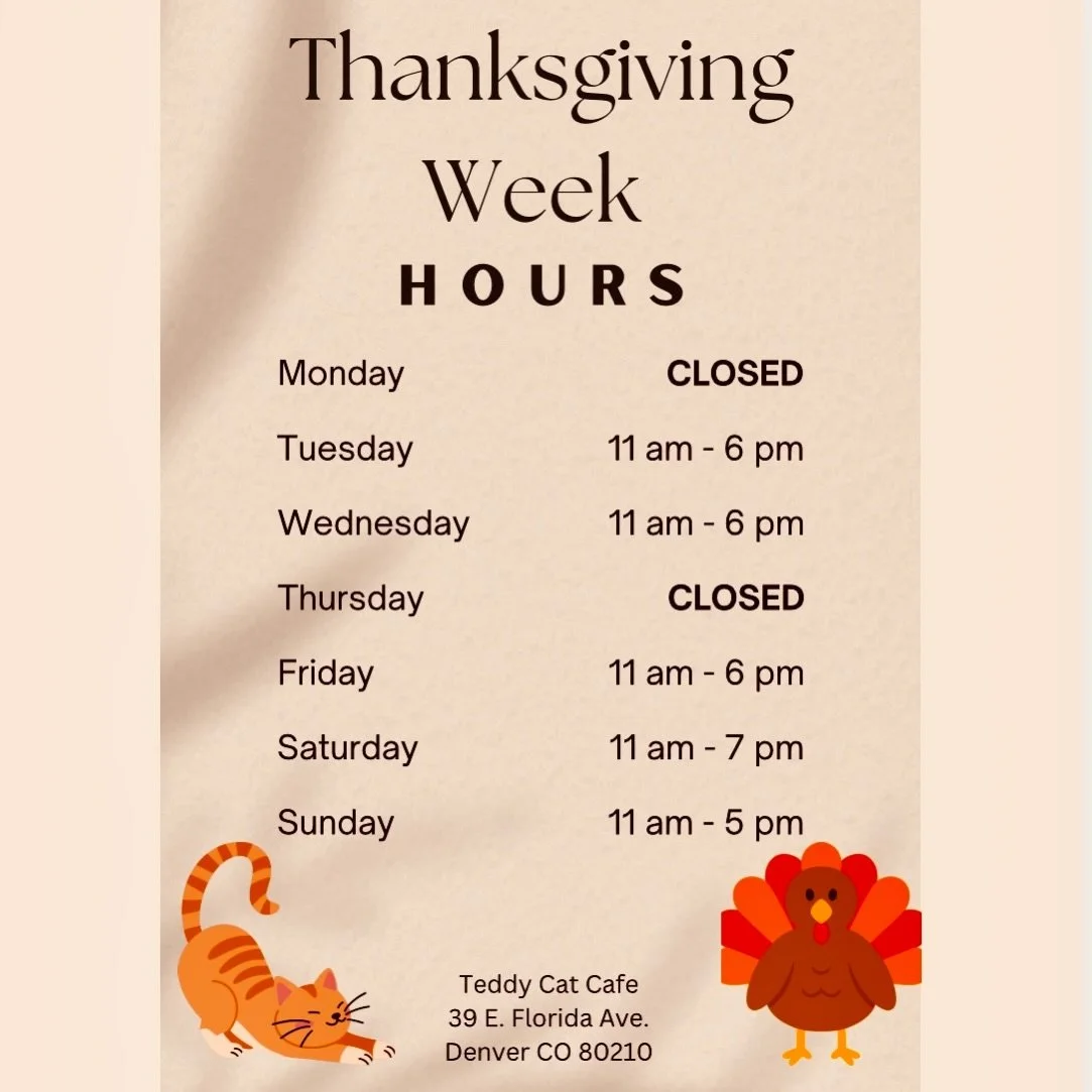 🦃 🦃 THANKSGIVING WEEK HOURS 🦃🦃 Come hang with the cutest kitties in town! #teddycatcafe #smallbusinesssaturday 🐱🐱