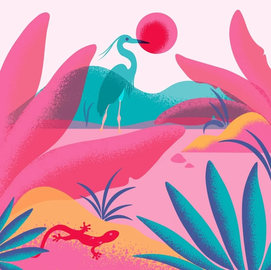 Heron in the wild.

#design #illustration #wildlifeillustration #womenofillustrations