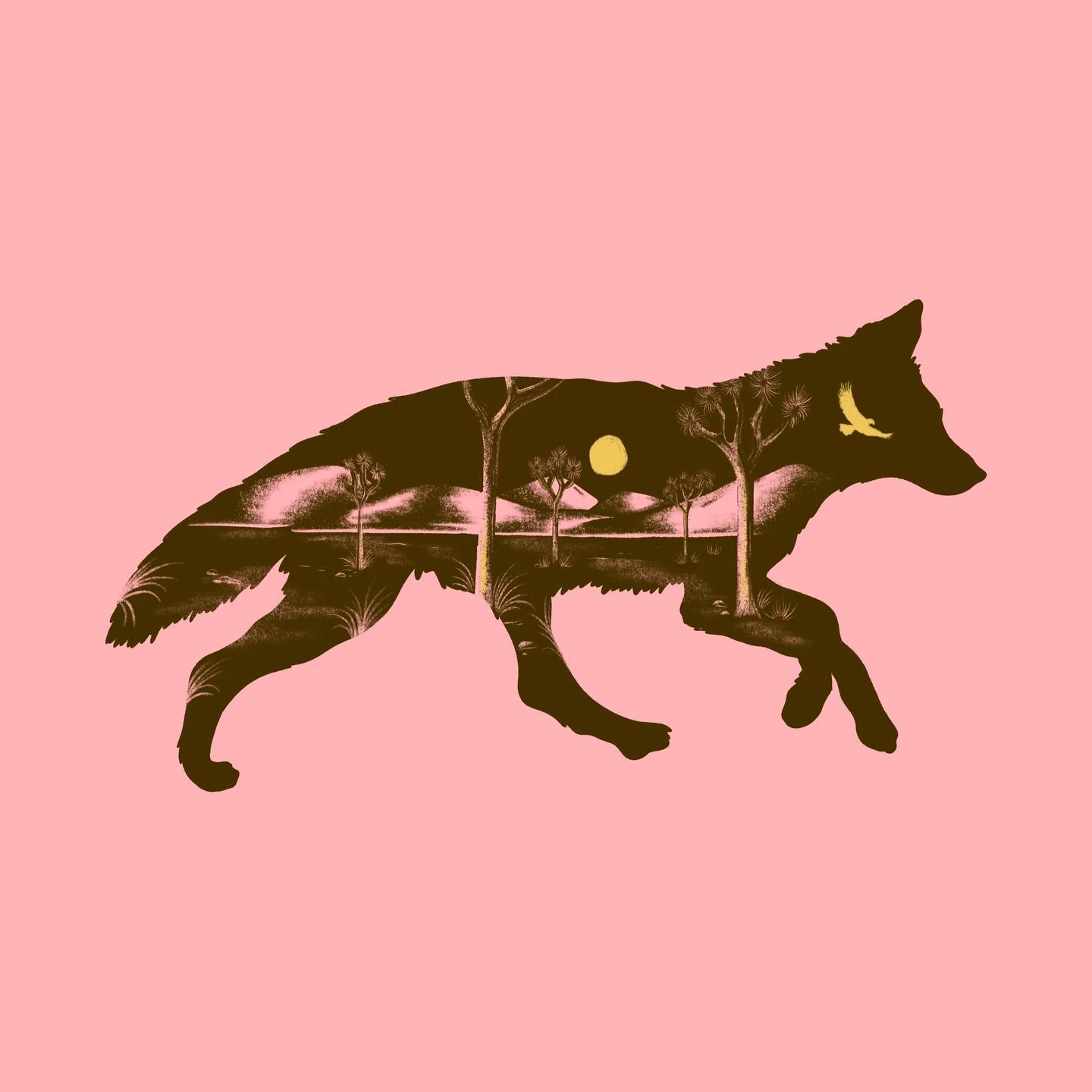 Time to disappear to the desert for a bit. Joshua Tree&rsquo;s callin&rsquo; my name.🌵

#wildlifeillustration #coyote #joshuatree #joshuatreenationalpark #illustration