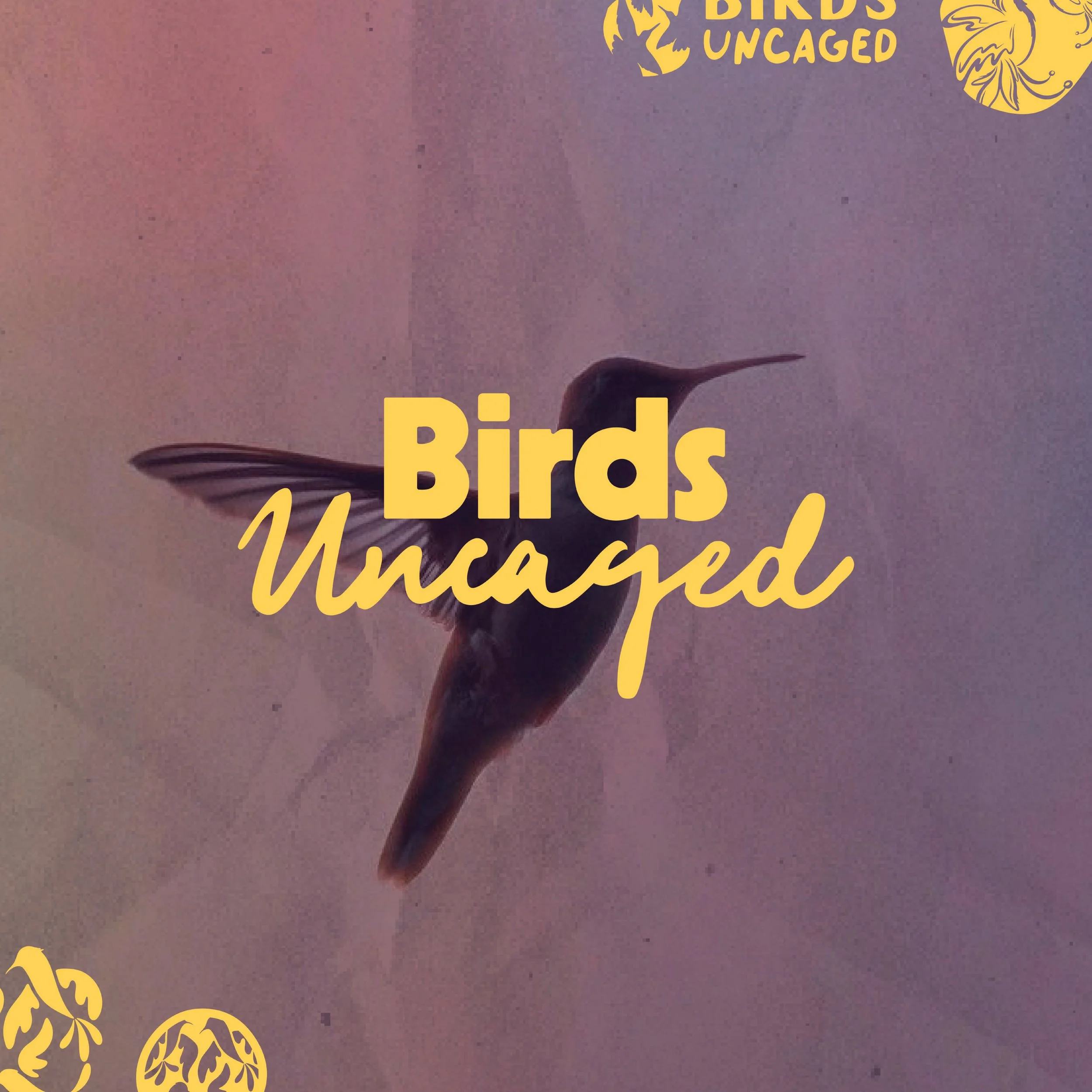 BIRDS UNCAGED