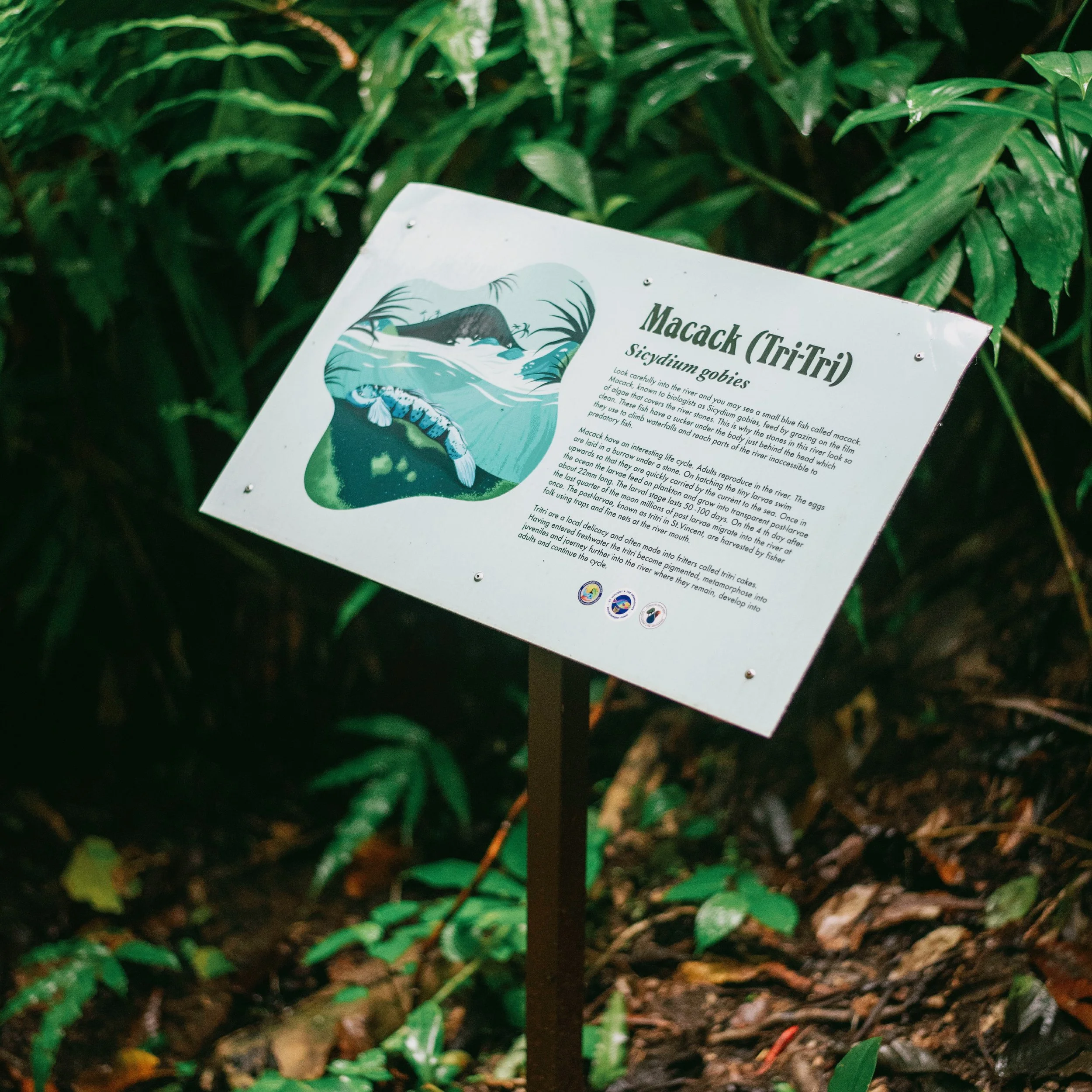 CUMBERLAND NATURE TRAIL