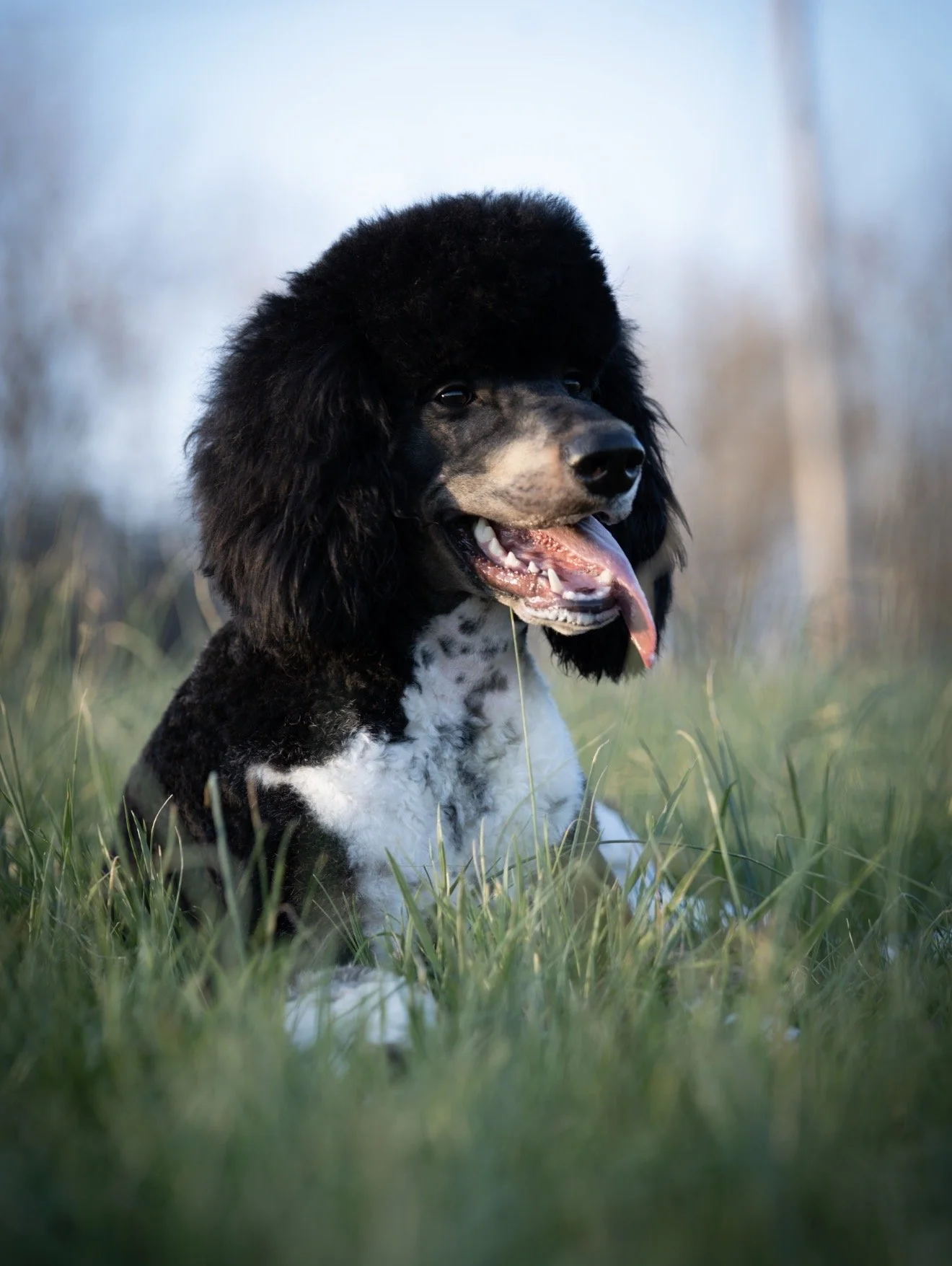 IMG_2683.jpeg