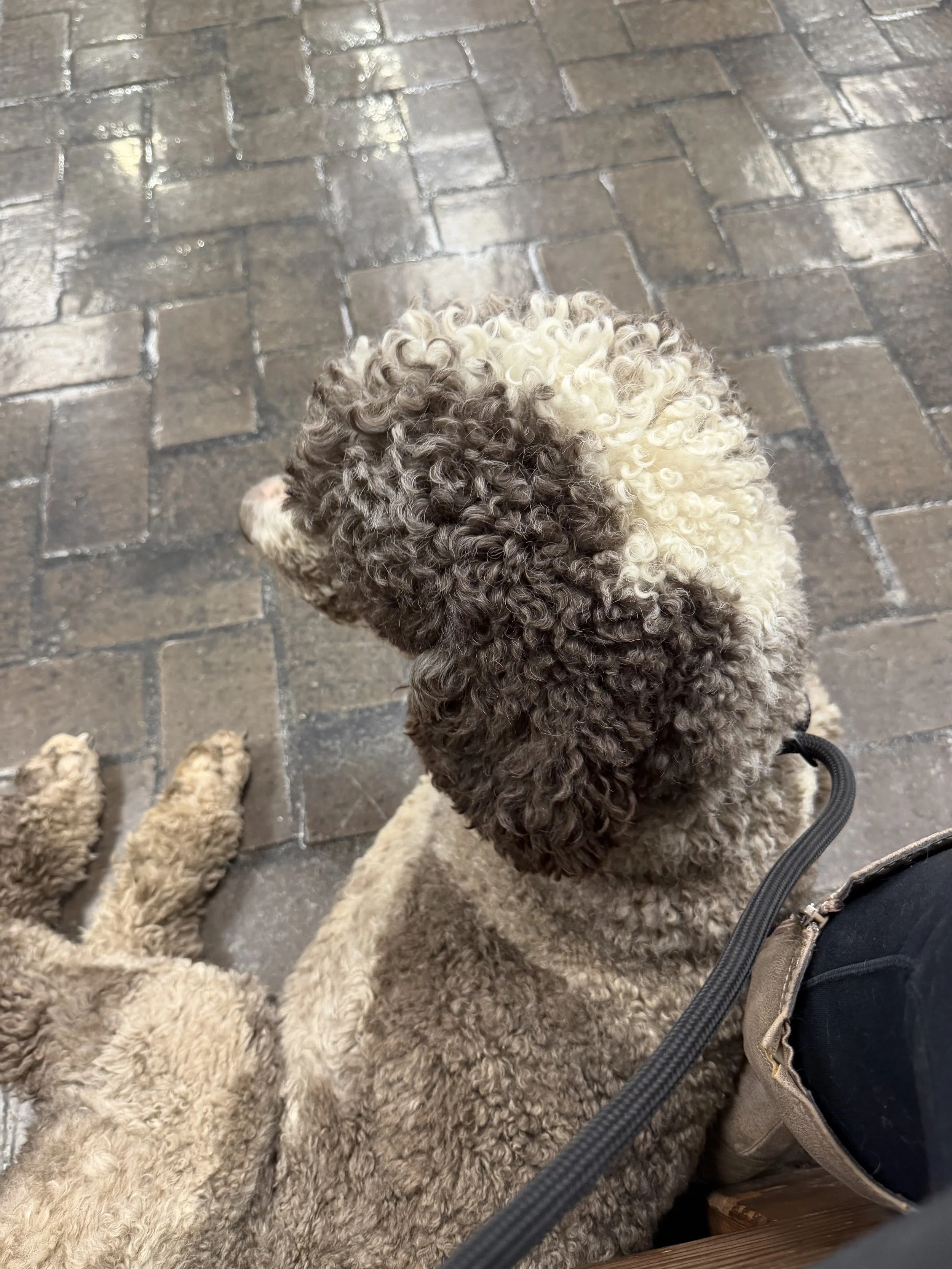 IMG_1893.jpeg