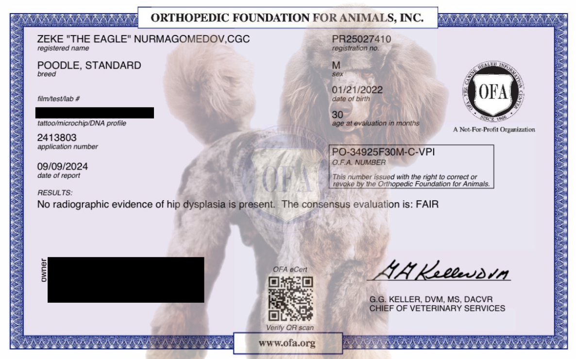 Bazaart_5C22481D-5080-427F-9F0C-00722435C775.png
