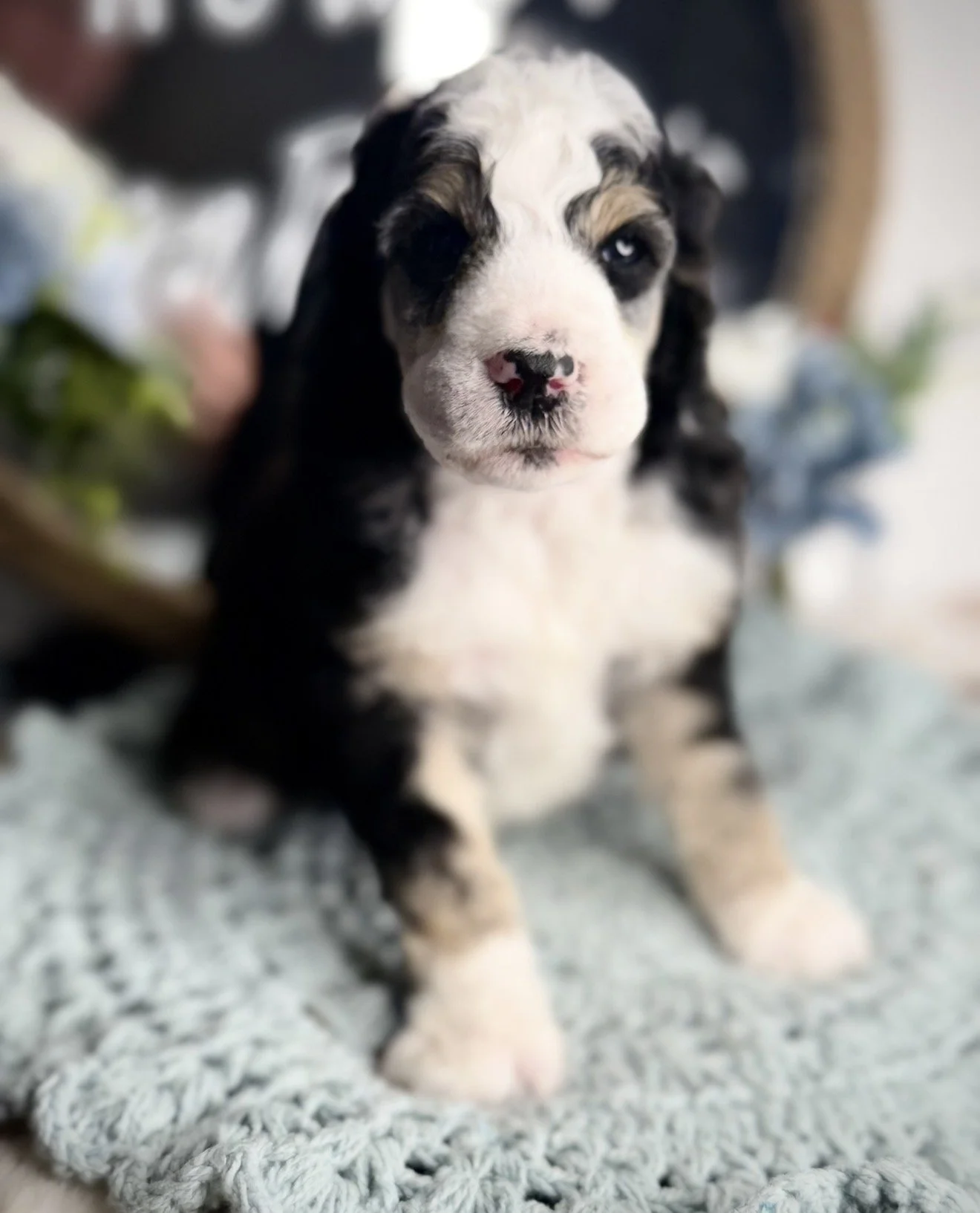Trix (Reserved)