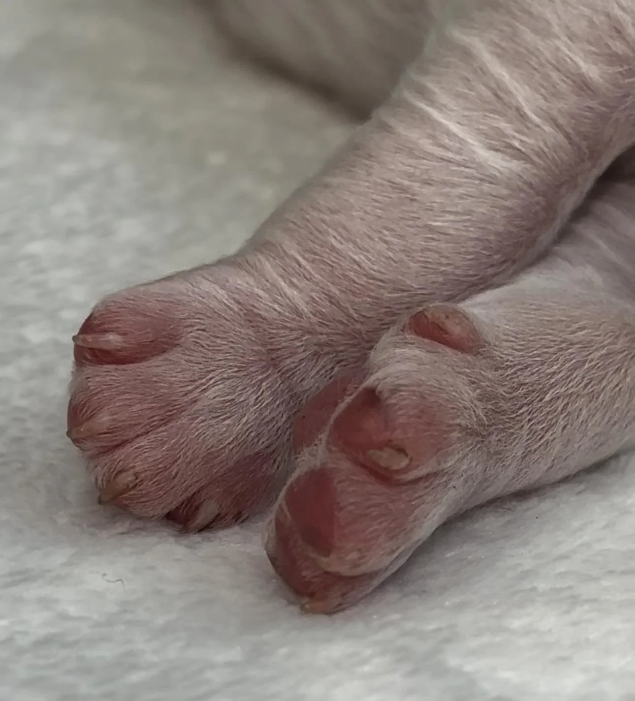 380562839_1418605715430136_6982377651517165361_n.jpg