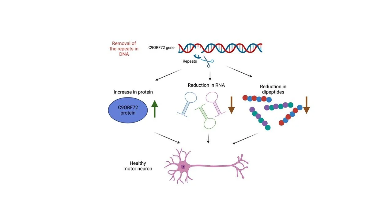 Figure 2: Results of the study