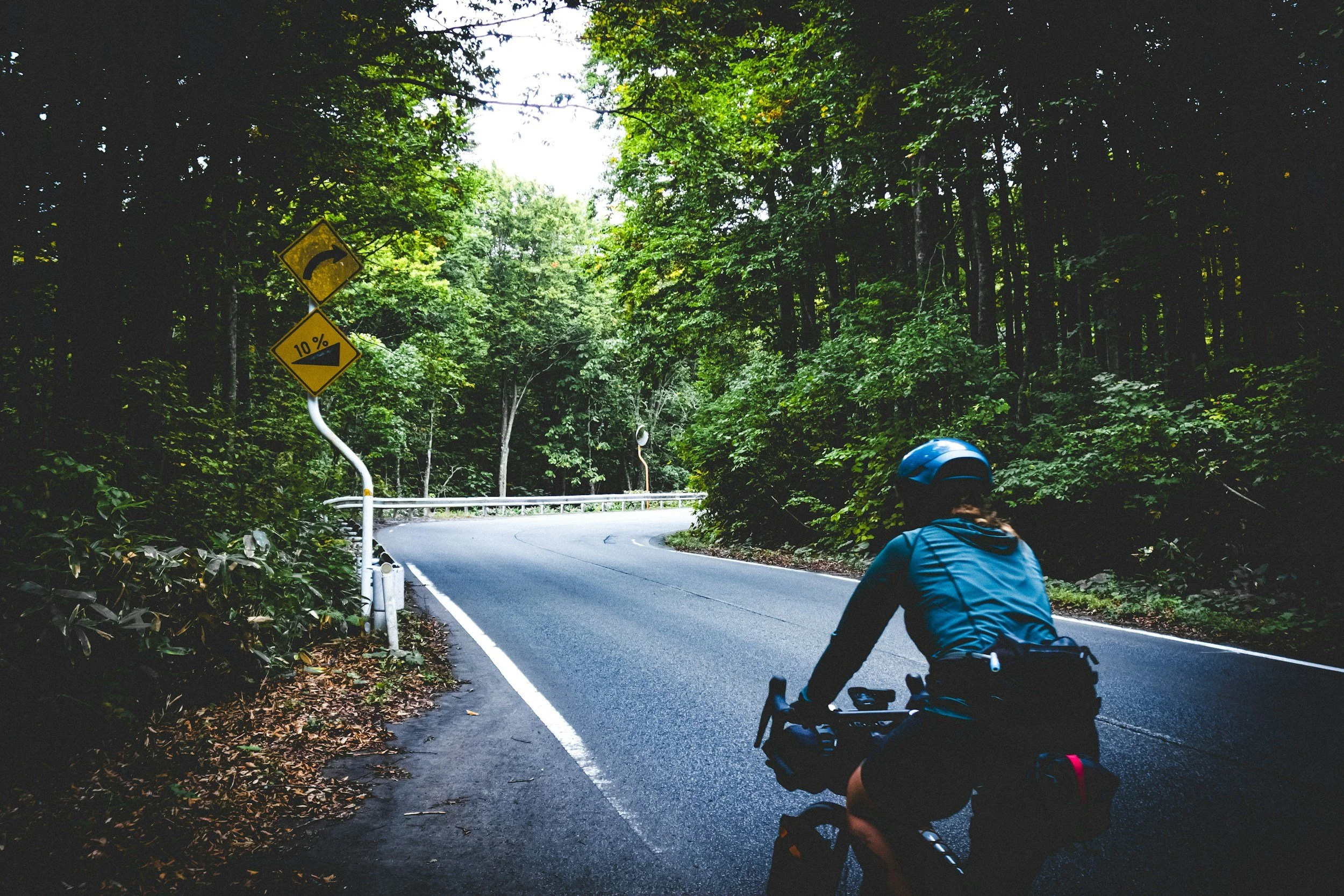 A cyclist rides forward along a quiet forest road.