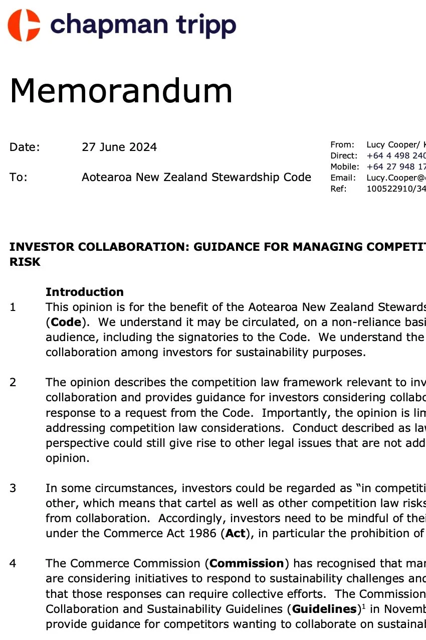 Investor Collaboration Legal Opinion