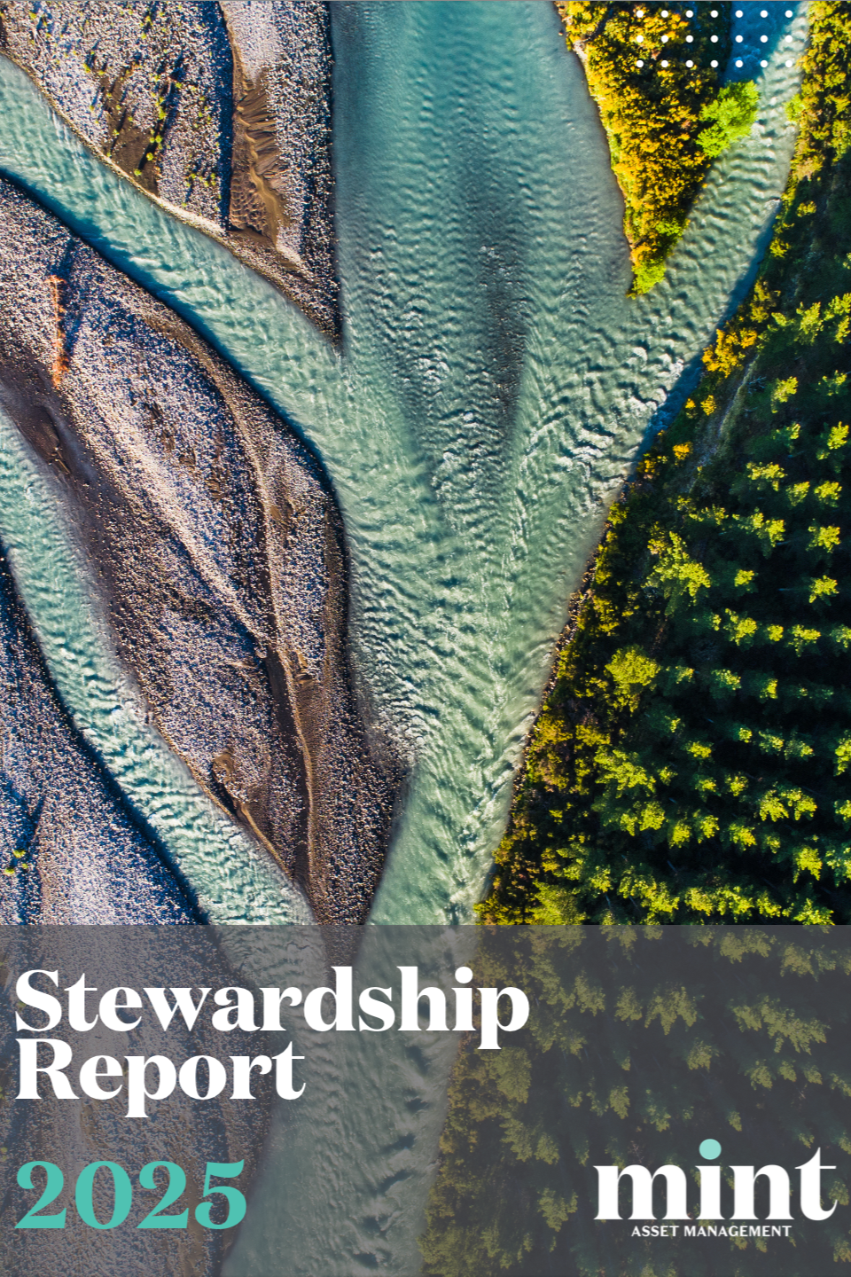 Stewardship Report, Mint Asset Management, 2025