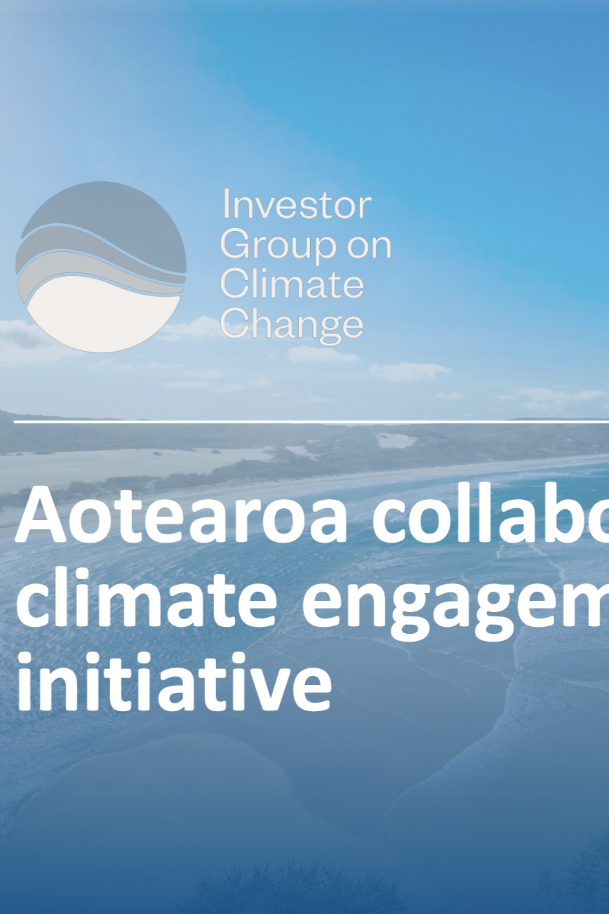 Webinar on Collaborative Investor Engagement in Aotearoa
