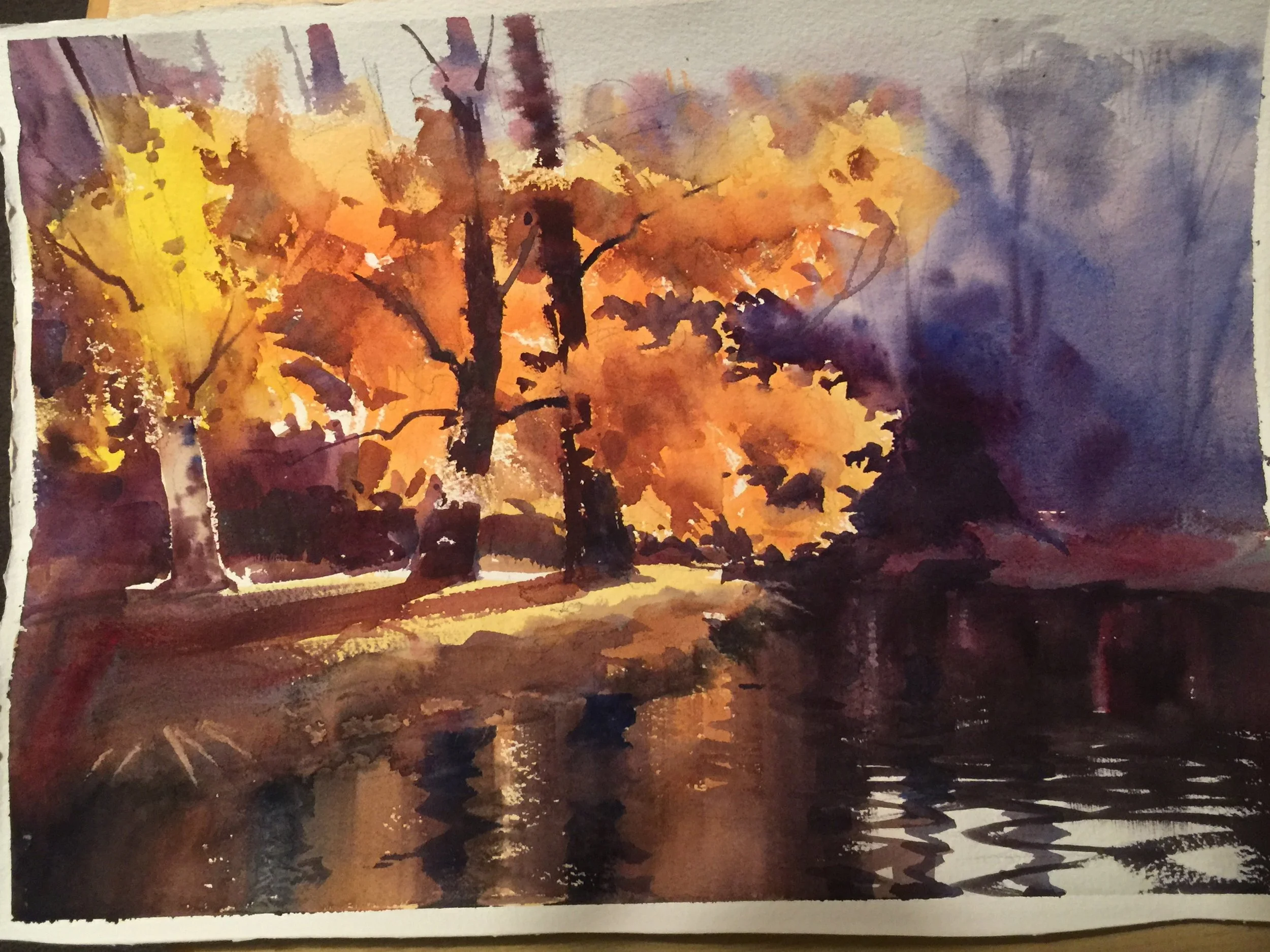 IMG_8386.jpg