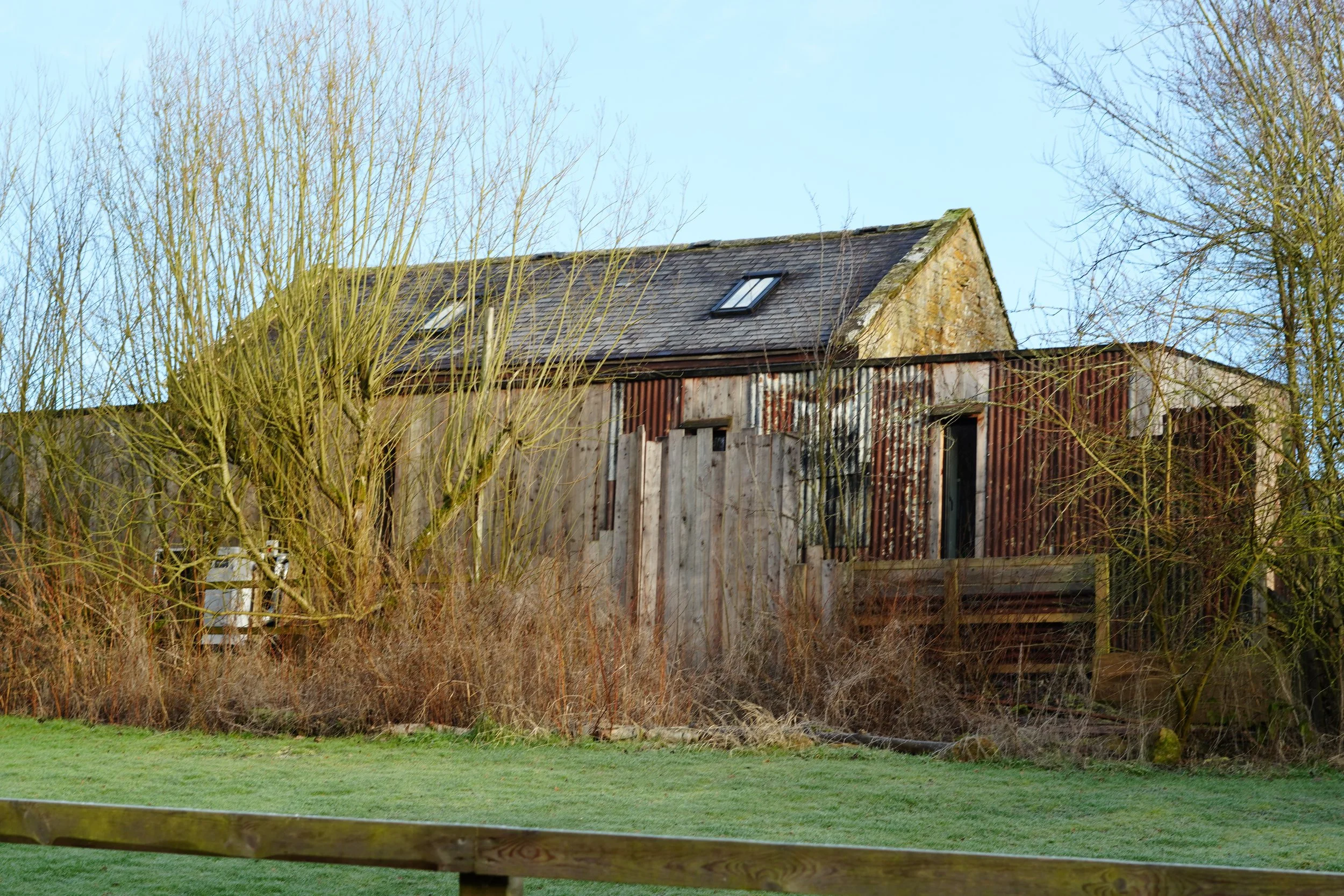 A rustic barn with a stone and wood exterior, several skylights on the roof, and surrounded by leafless trees and overgrown bushes, with a patch of green grass and a wooden fence in the foreground under a clear blue sky.