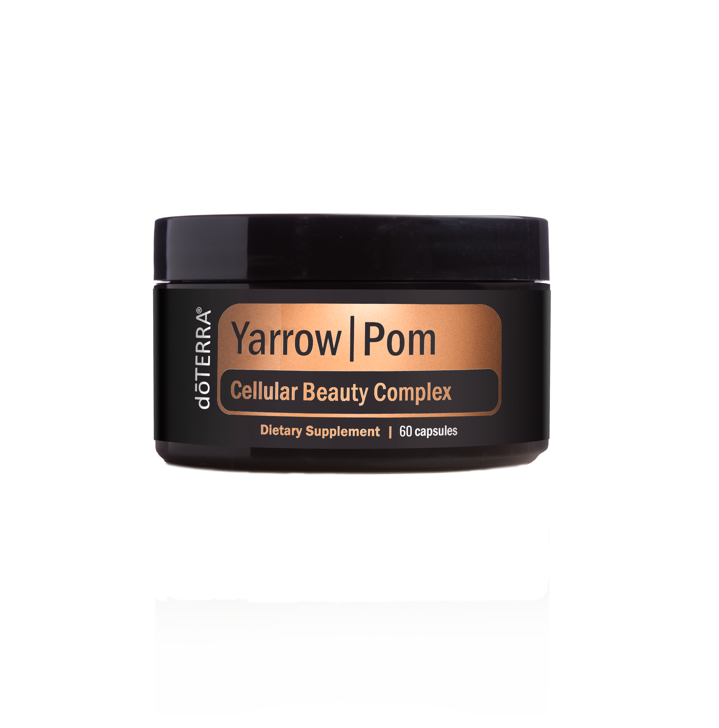 Yarrow - beauty in so many ways