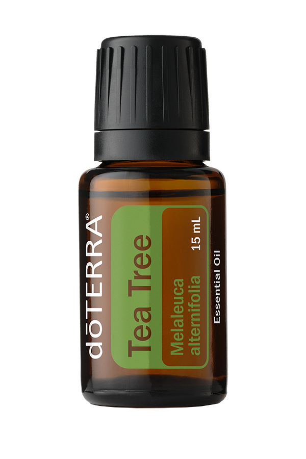 tea tree.png