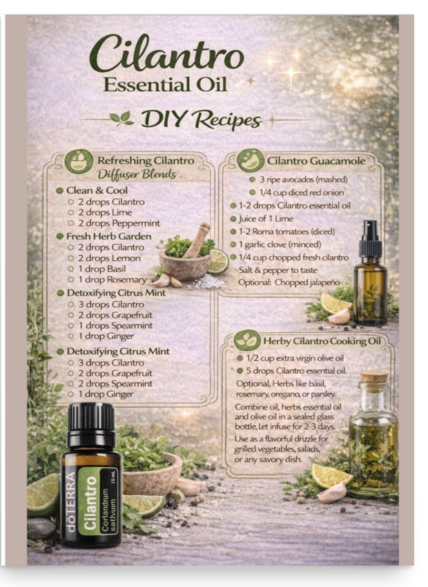 Cilantro Recipes