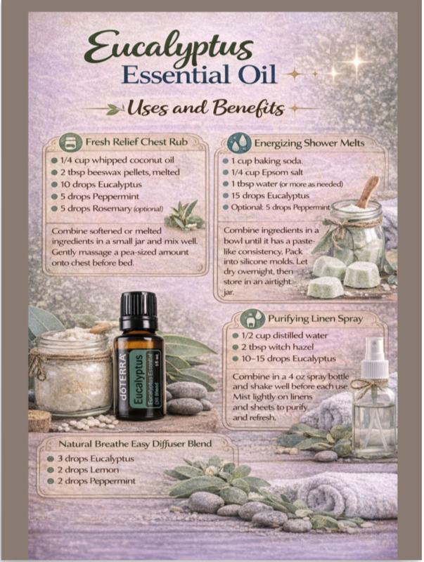 Eucalyptus Uses and Benefits