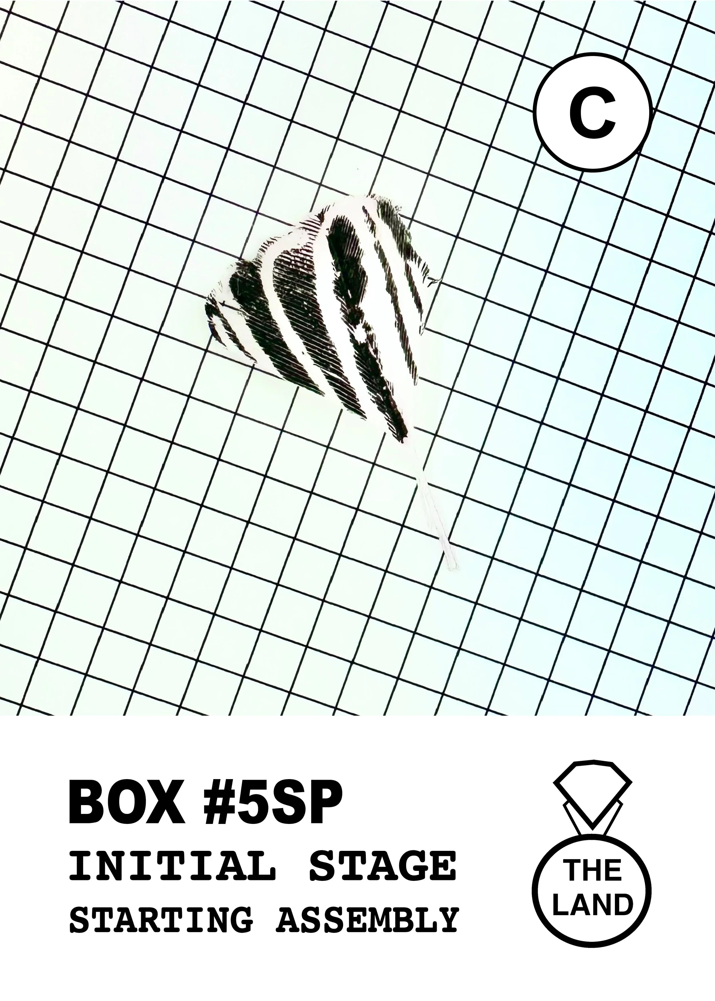 BOX#5-C-INITIAL-STAGE.jpg