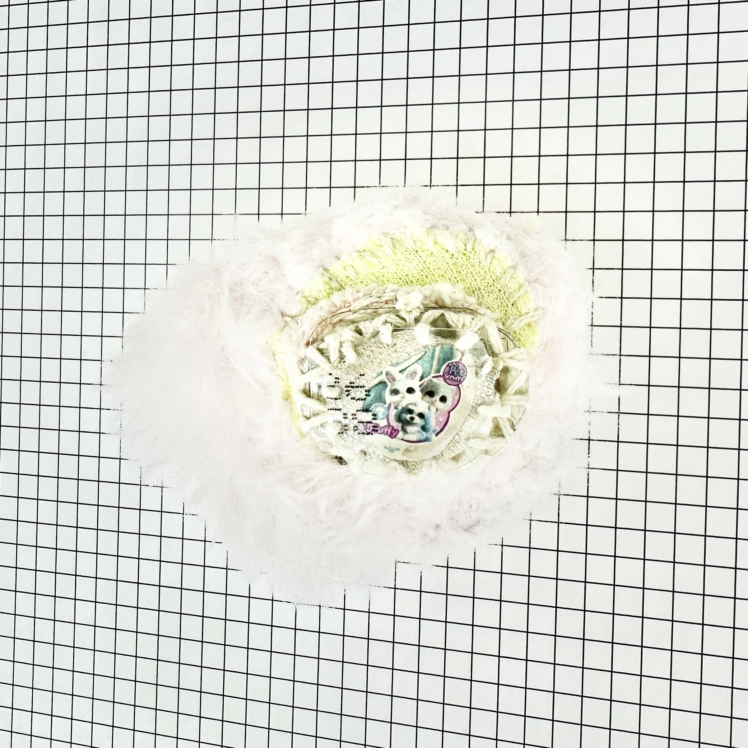 EGG #6P