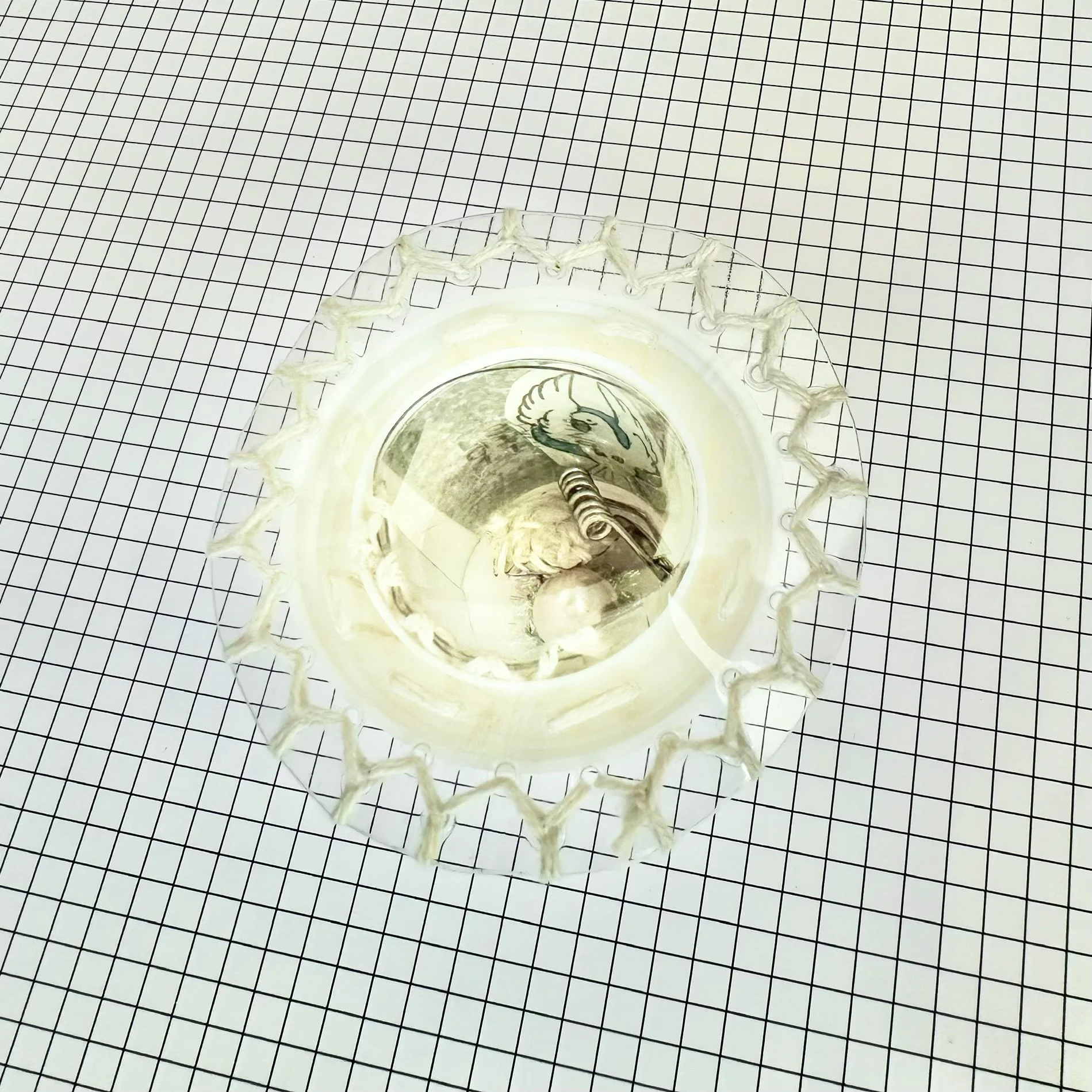 CUPOLA #5P
