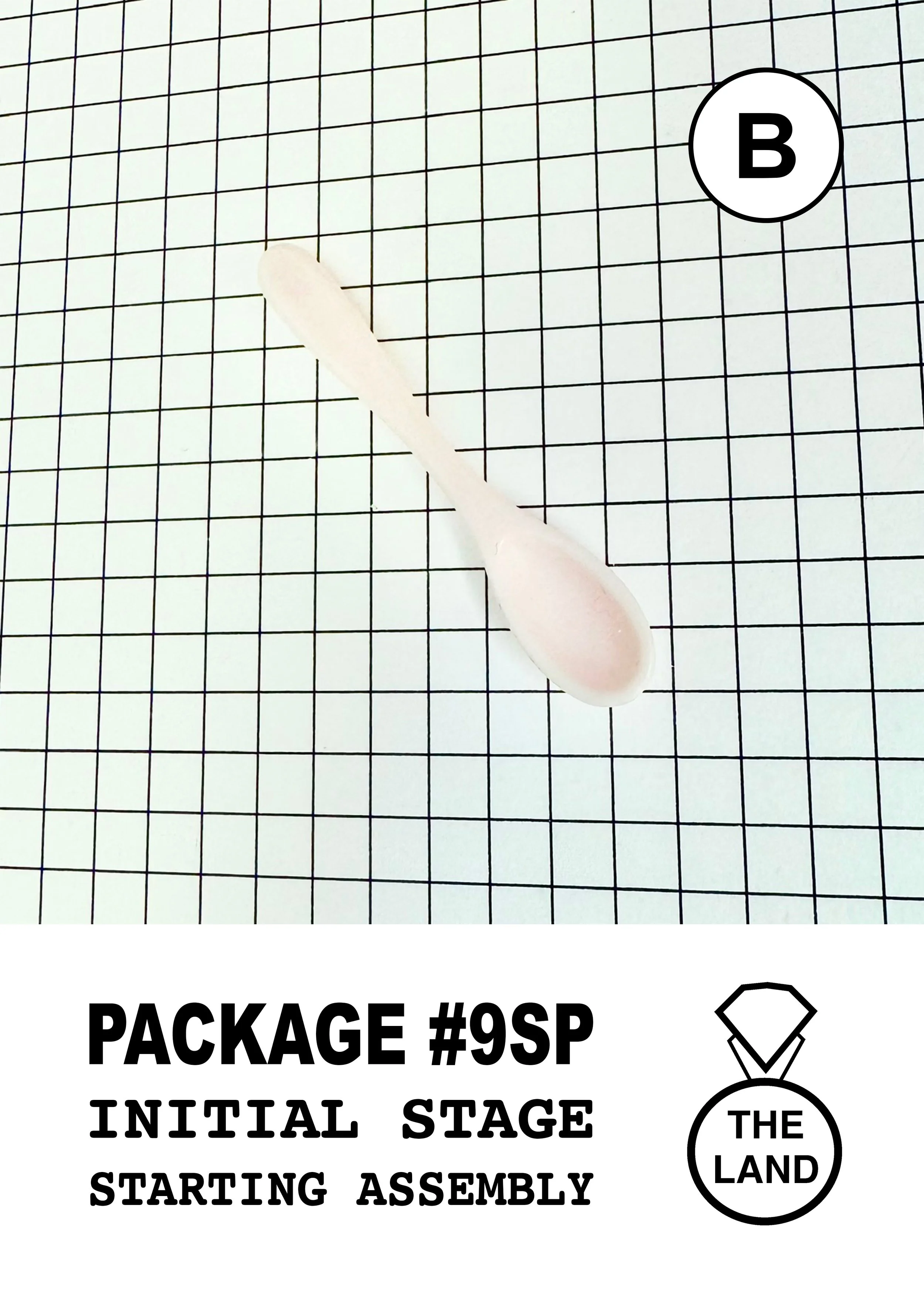 PACKAGE#9-B-INITIAL-STAGE.jpg