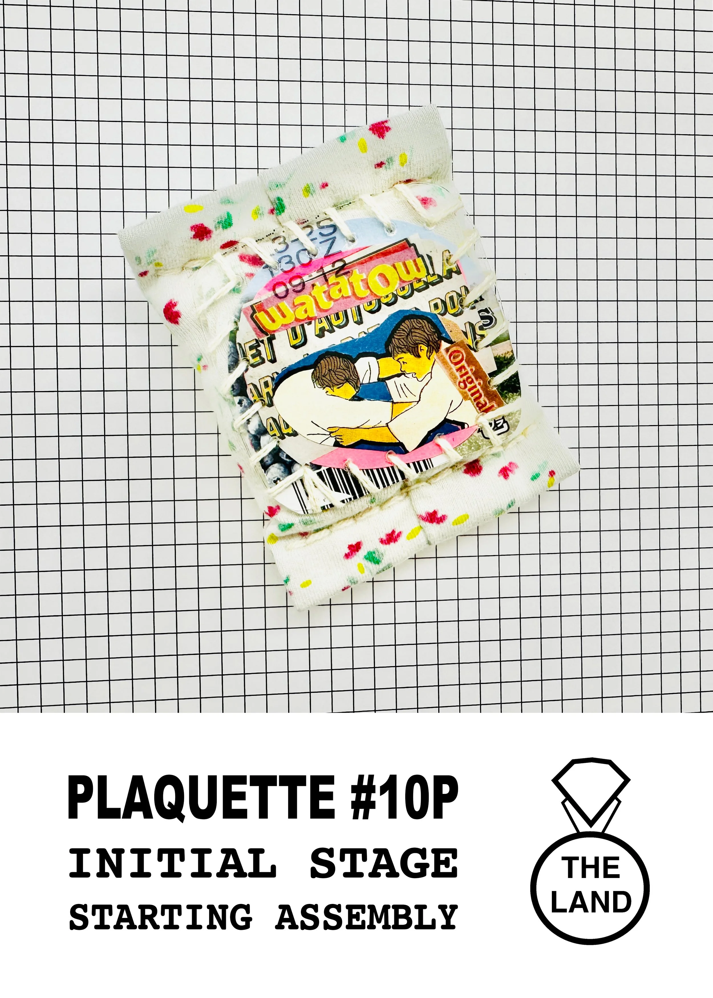 PLAQUETTE#10-INITIAL-STAGE.jpg