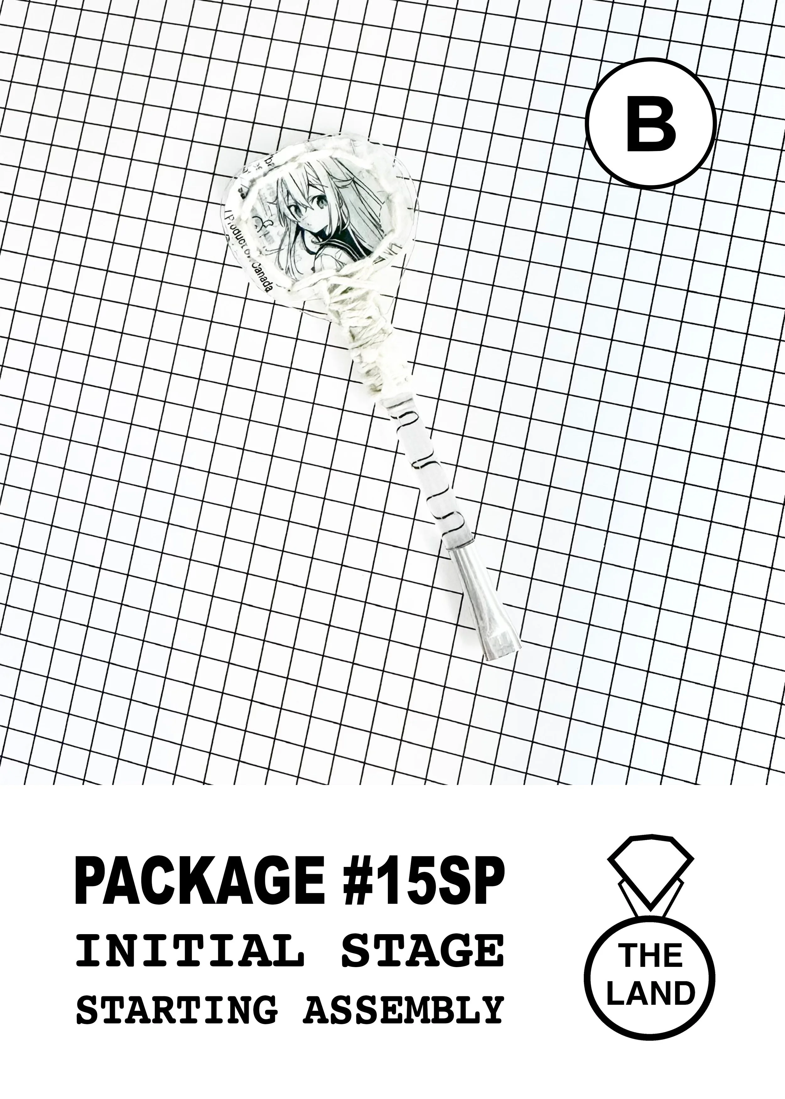 PACKAGE#15-B-INITIAL-STAGE.jpg