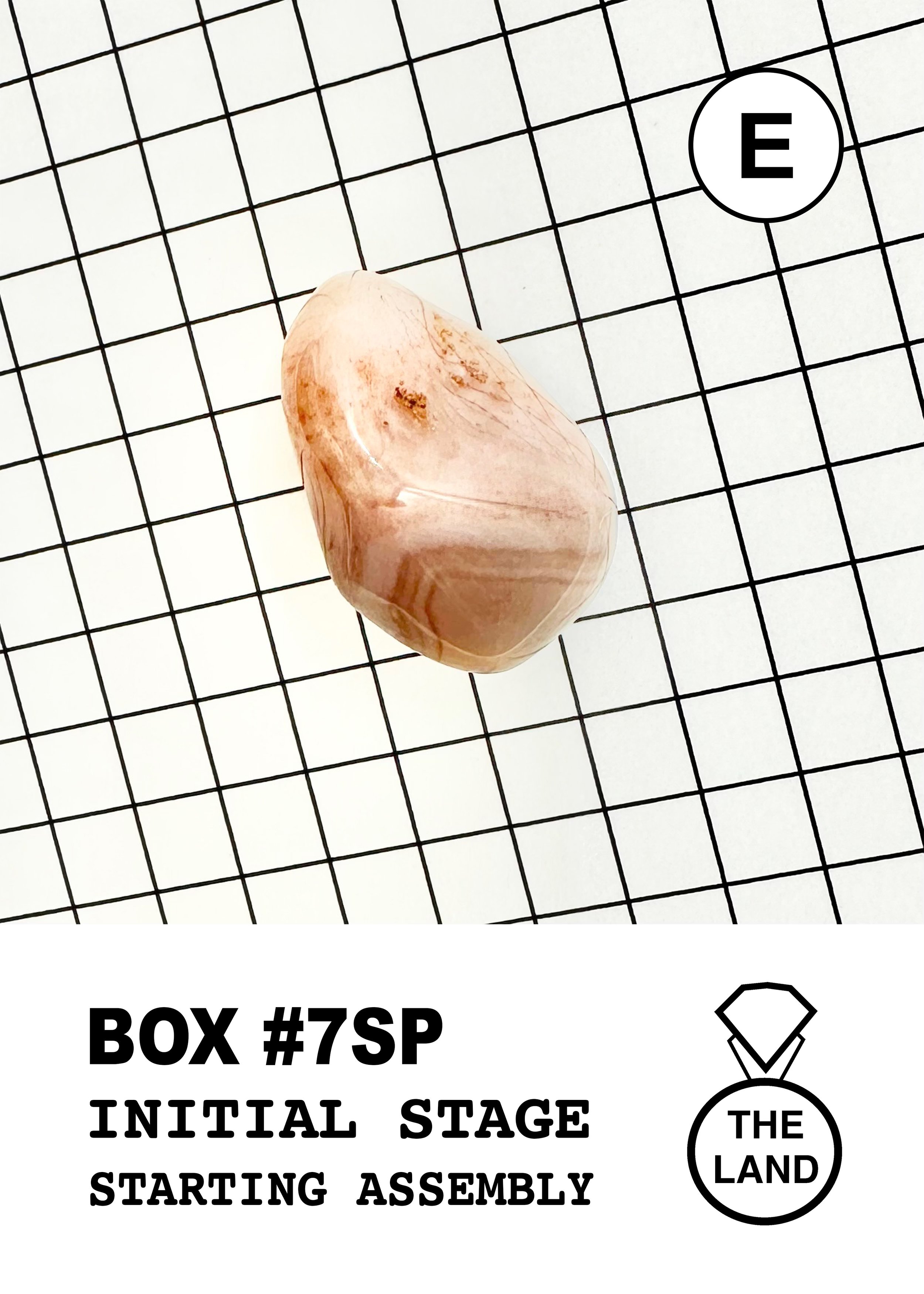 BOX#7-E-INITIAL-STAGE.jpg