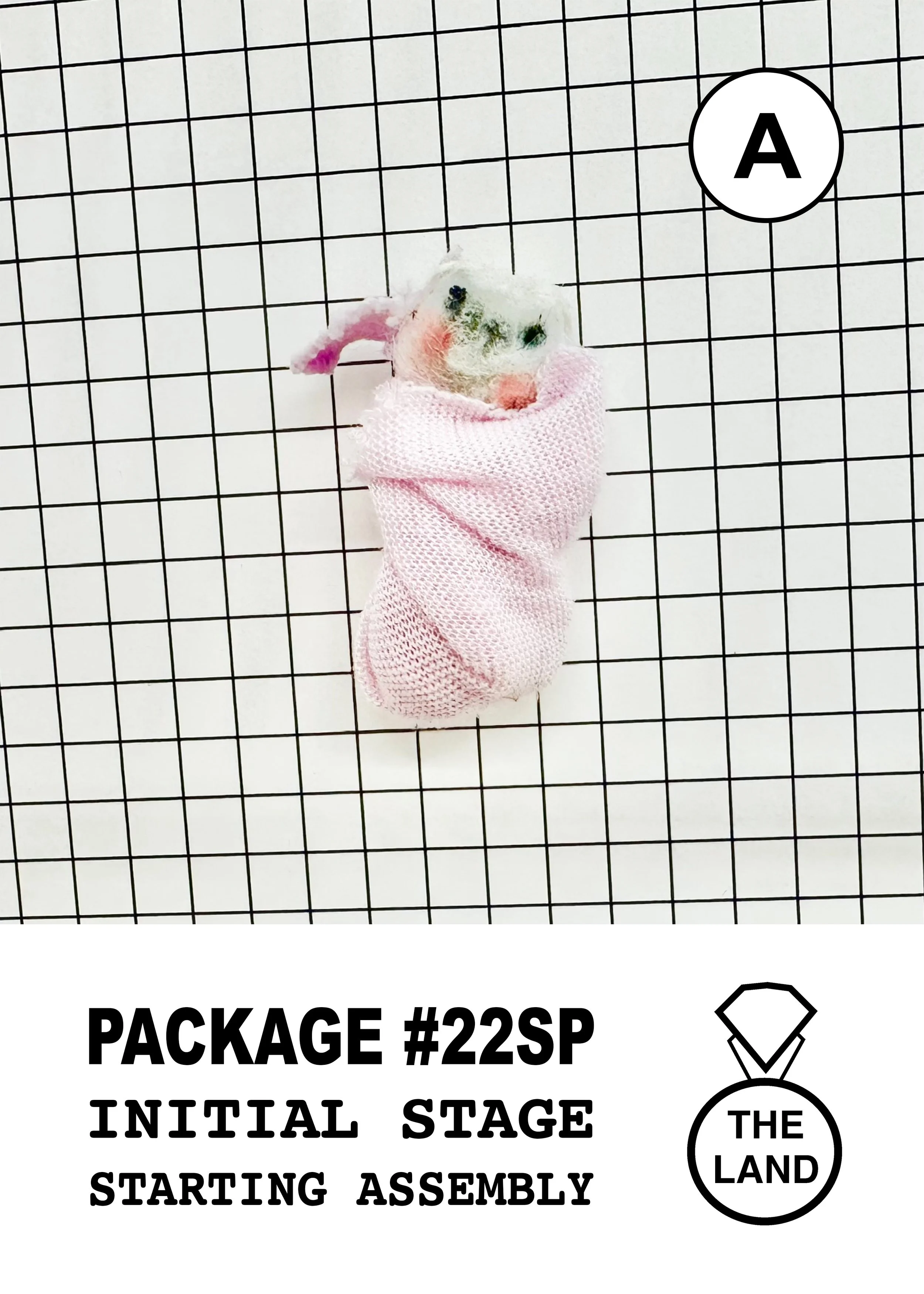 PACKAGE#22-A-INITIAL-STAGE.jpg