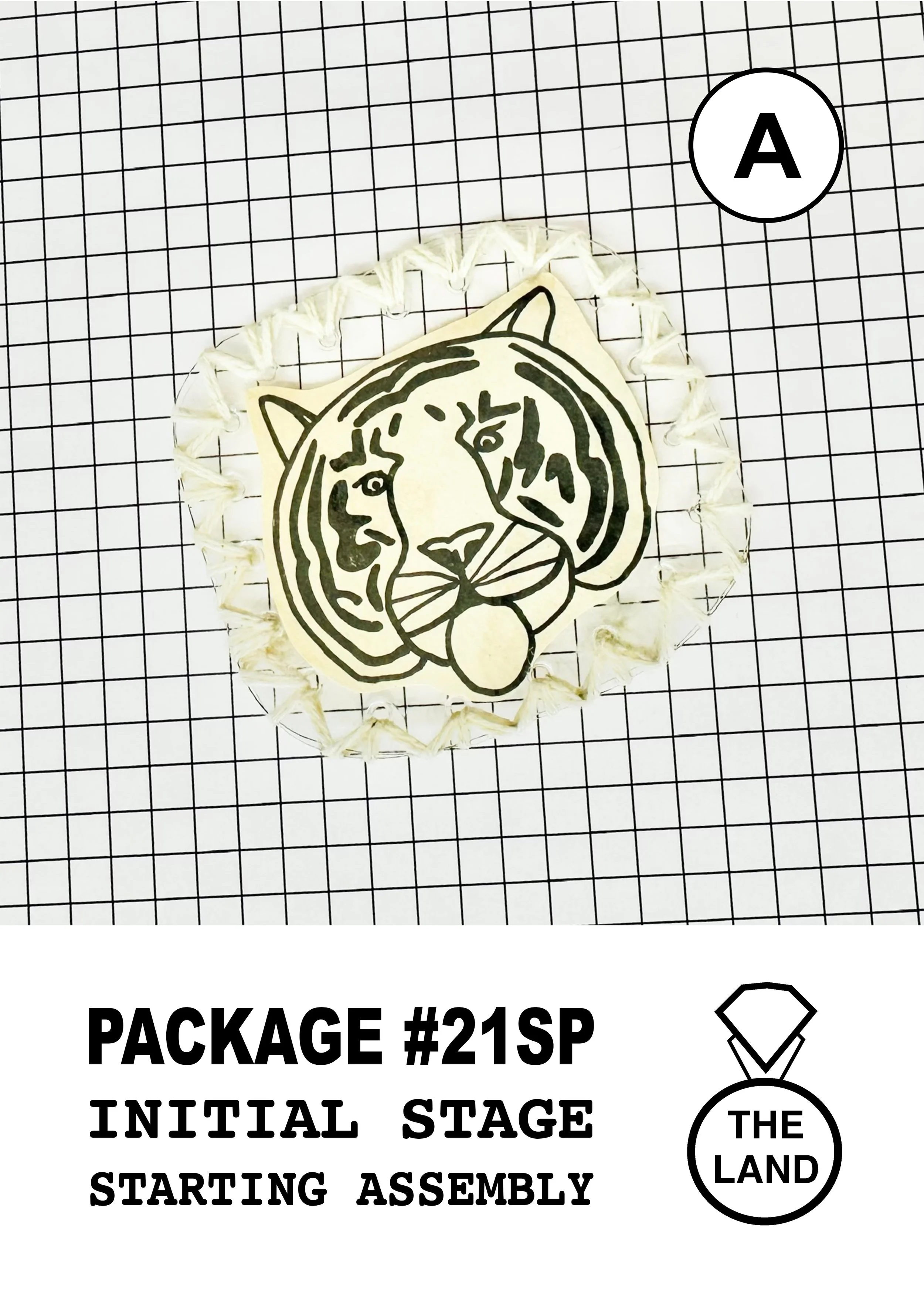 PACKAGE#21-A-INITIAL-STAGE.jpg