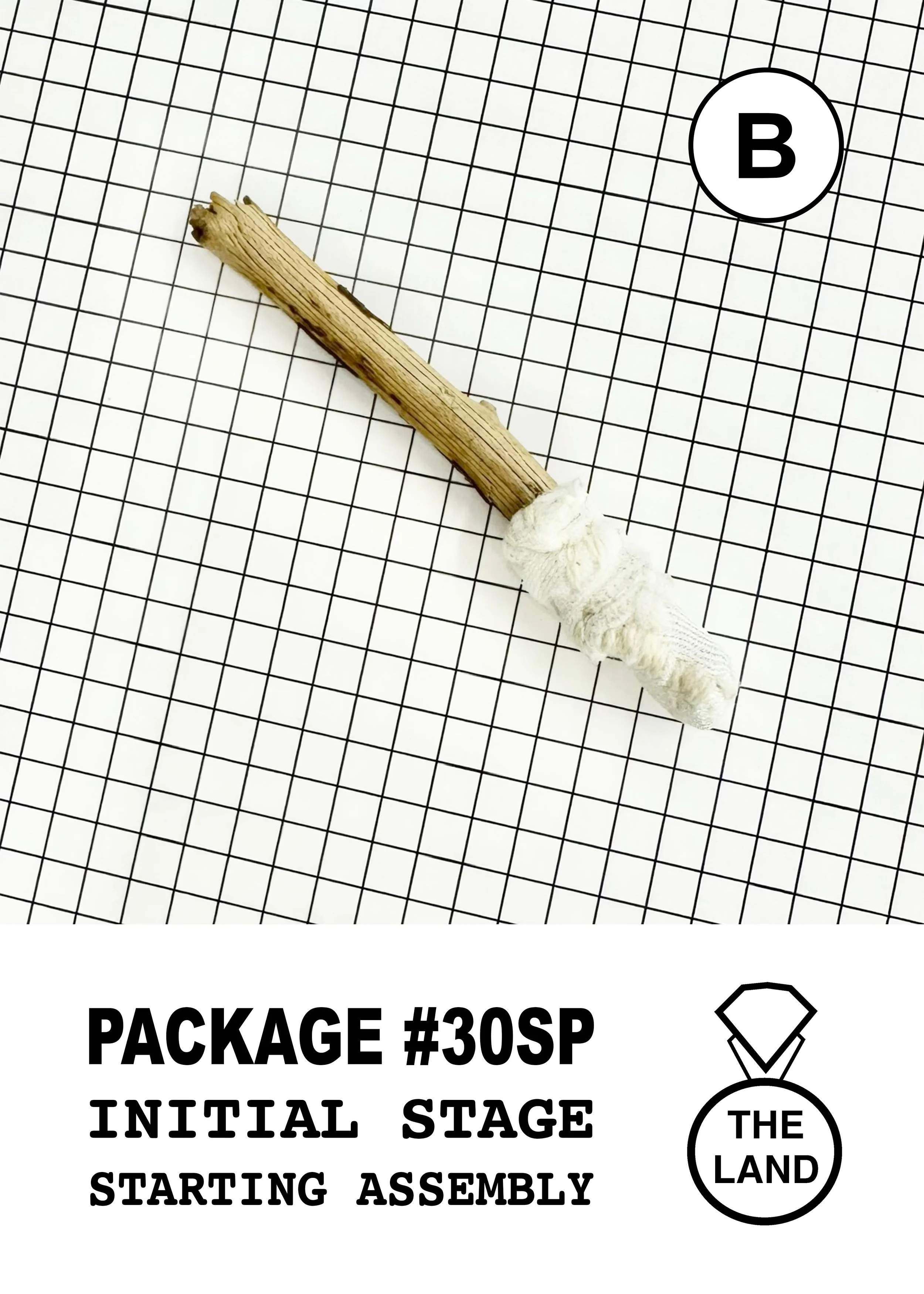 PACKAGE#30-B-INITIAL-STAGE.jpg