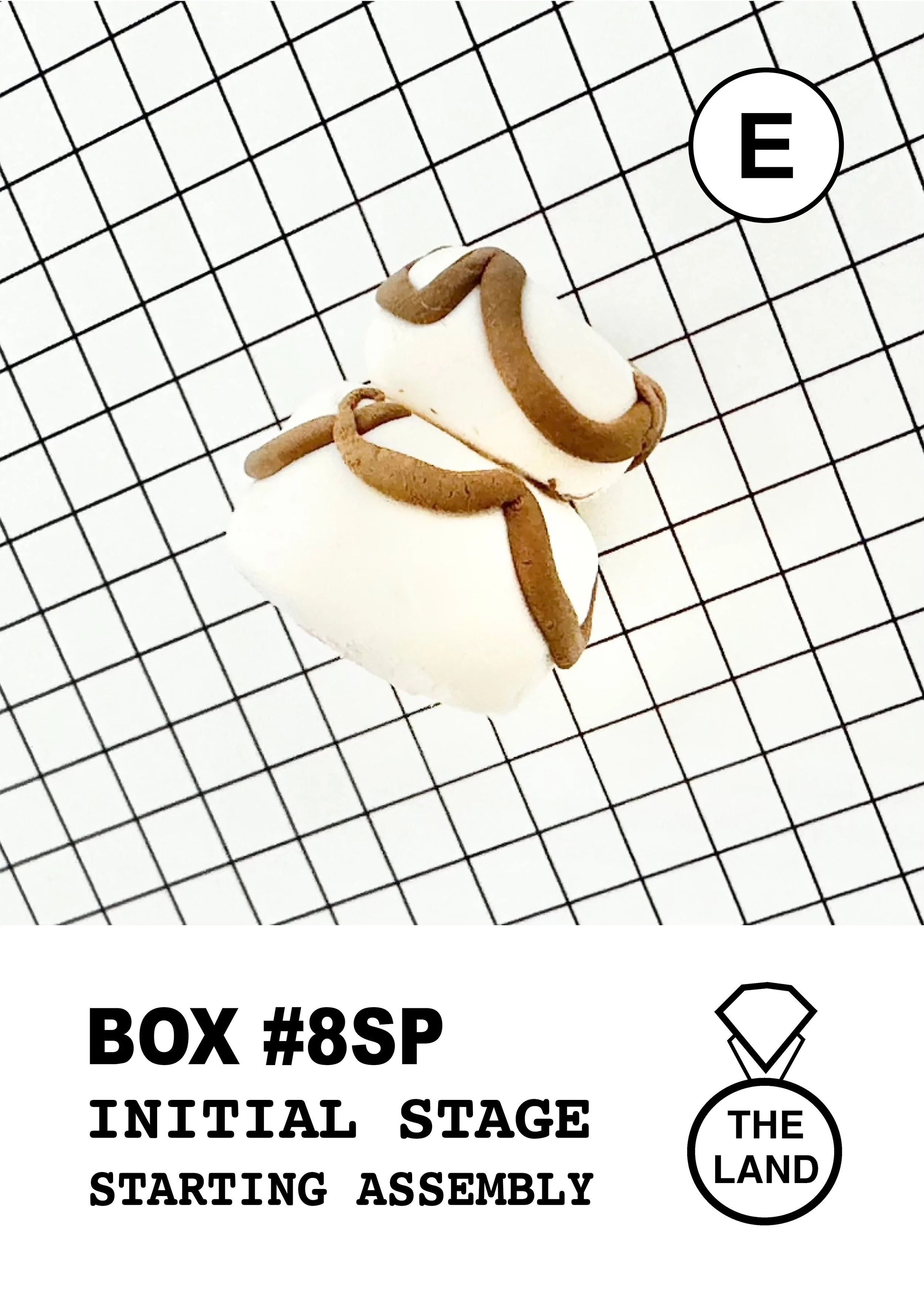 BOX#8-E-INITIAL-STAGE.jpg