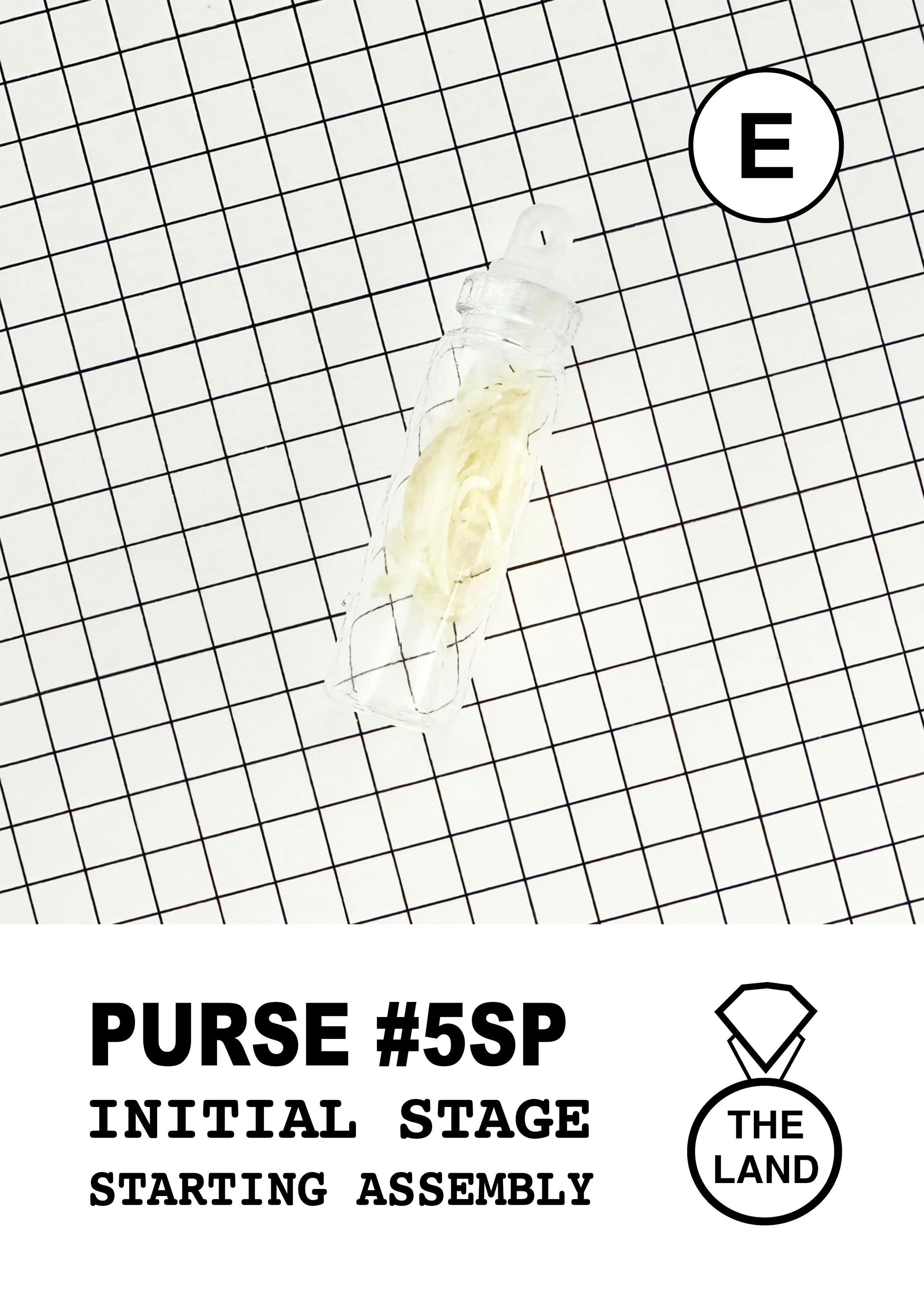 PURSE#5-E-INITIAL-STAGE.jpg