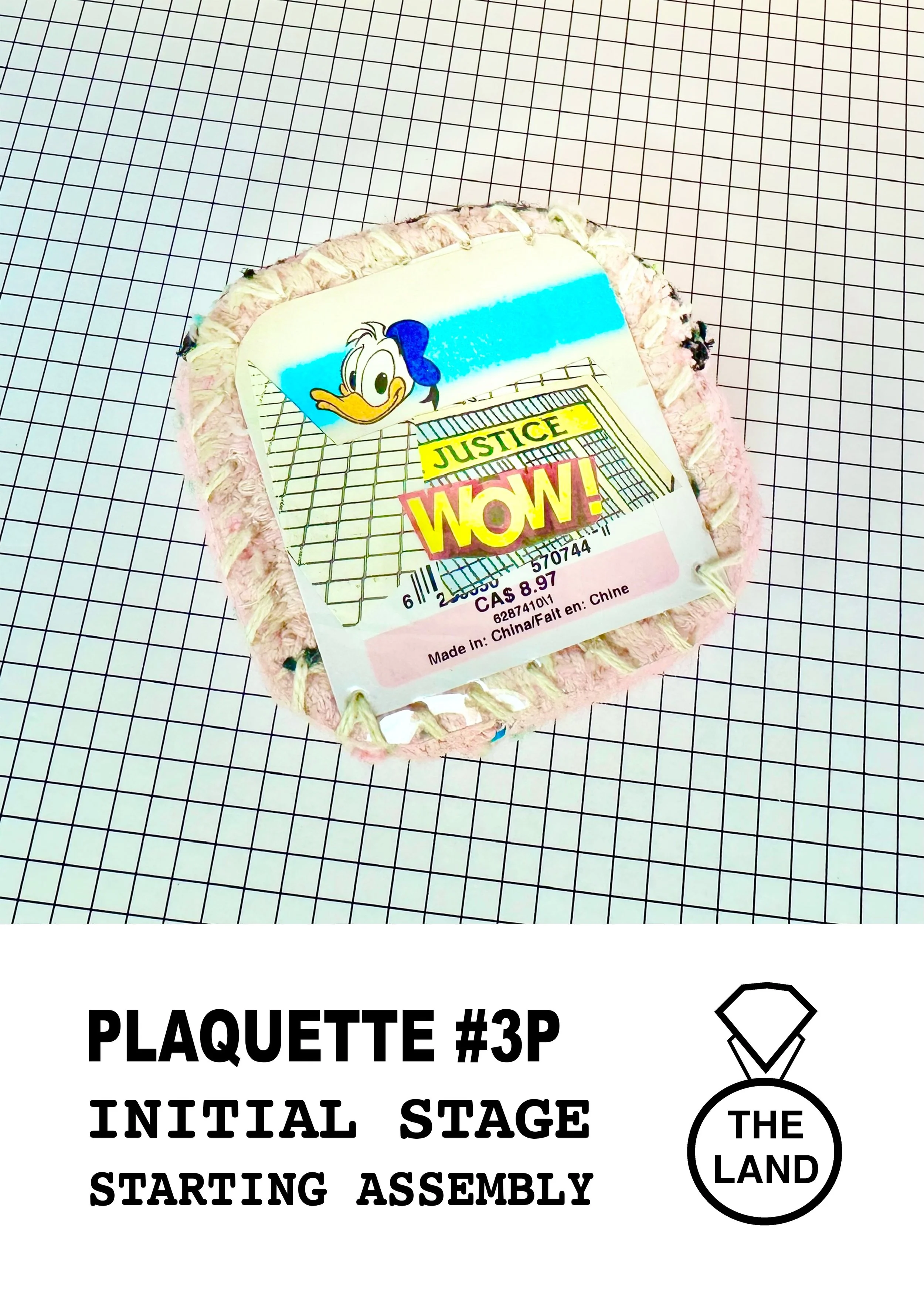 PLAQUETTE#3-INITIAL-STAGE.jpg