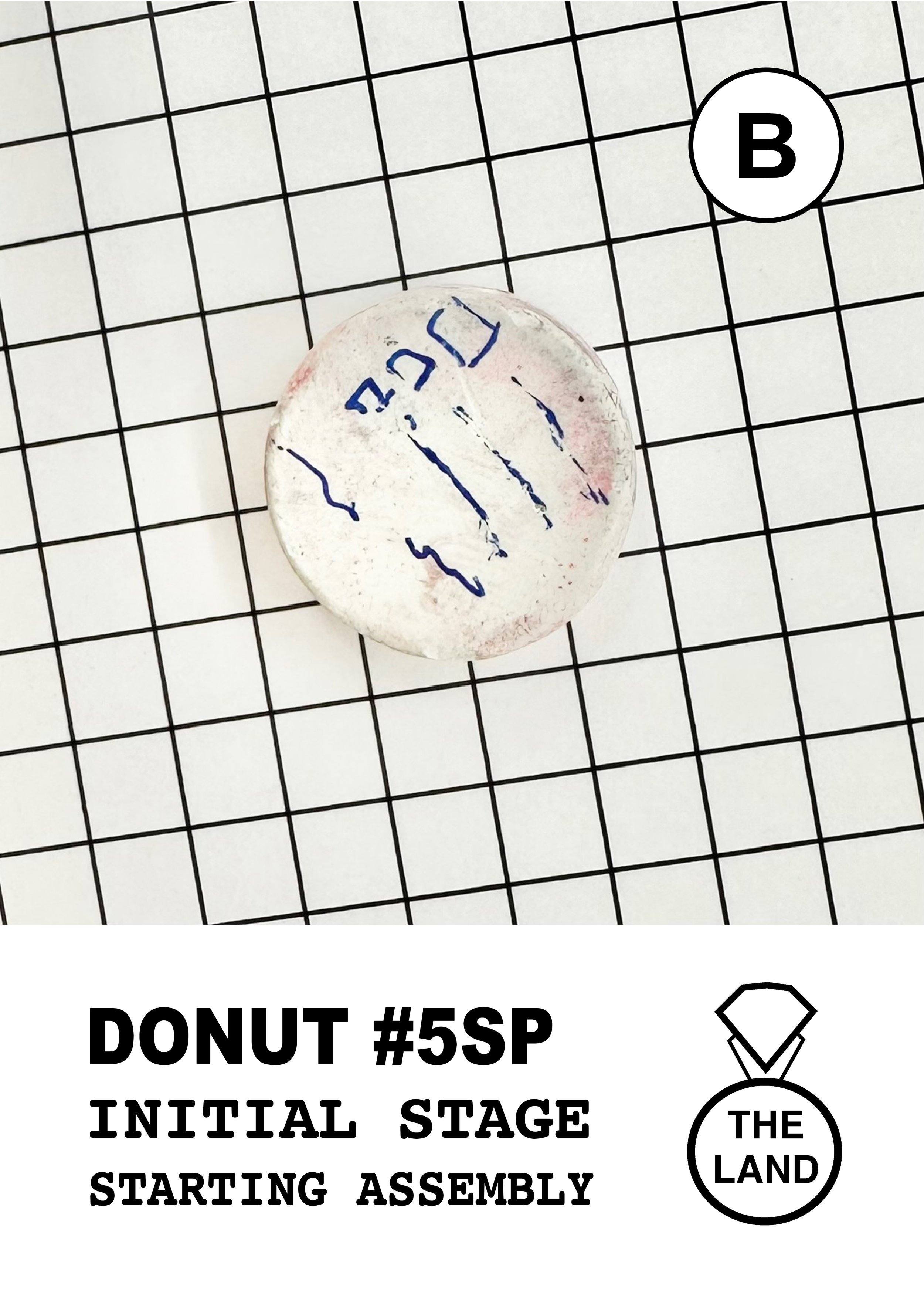 DONUT#5-B-INITIAL-STAGE.jpg
