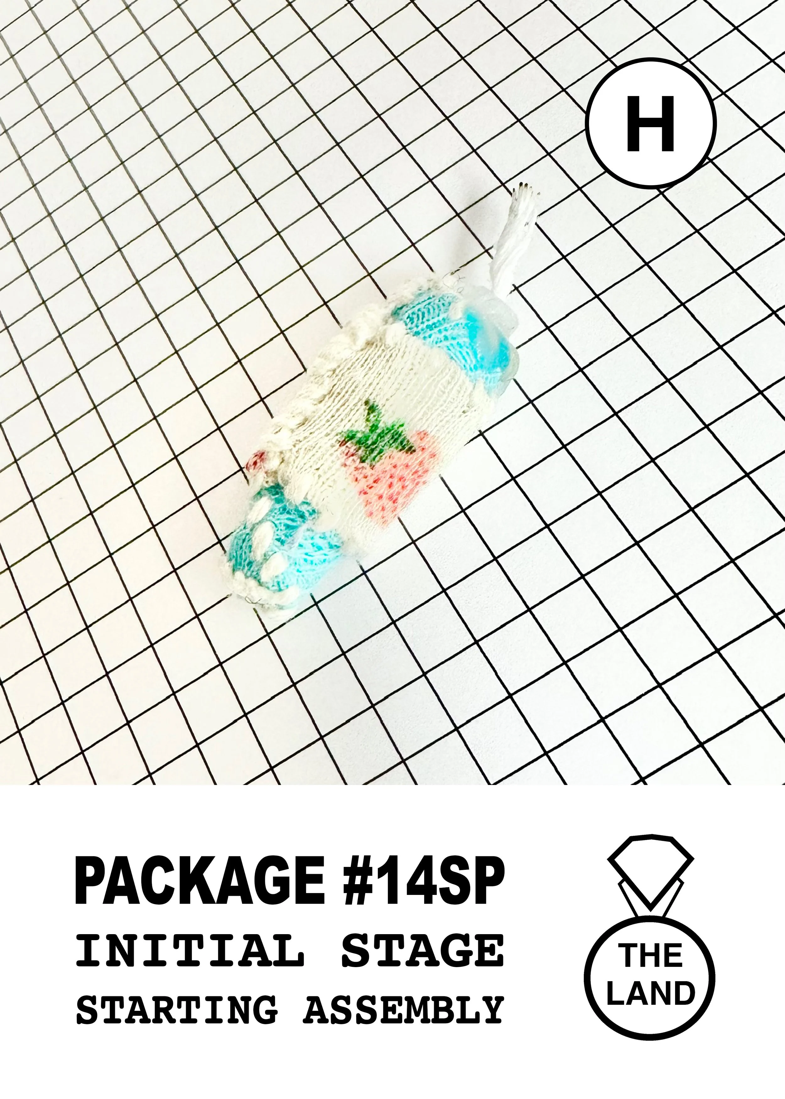 PACKAGE#14-H-INITIAL-STAGE.jpg