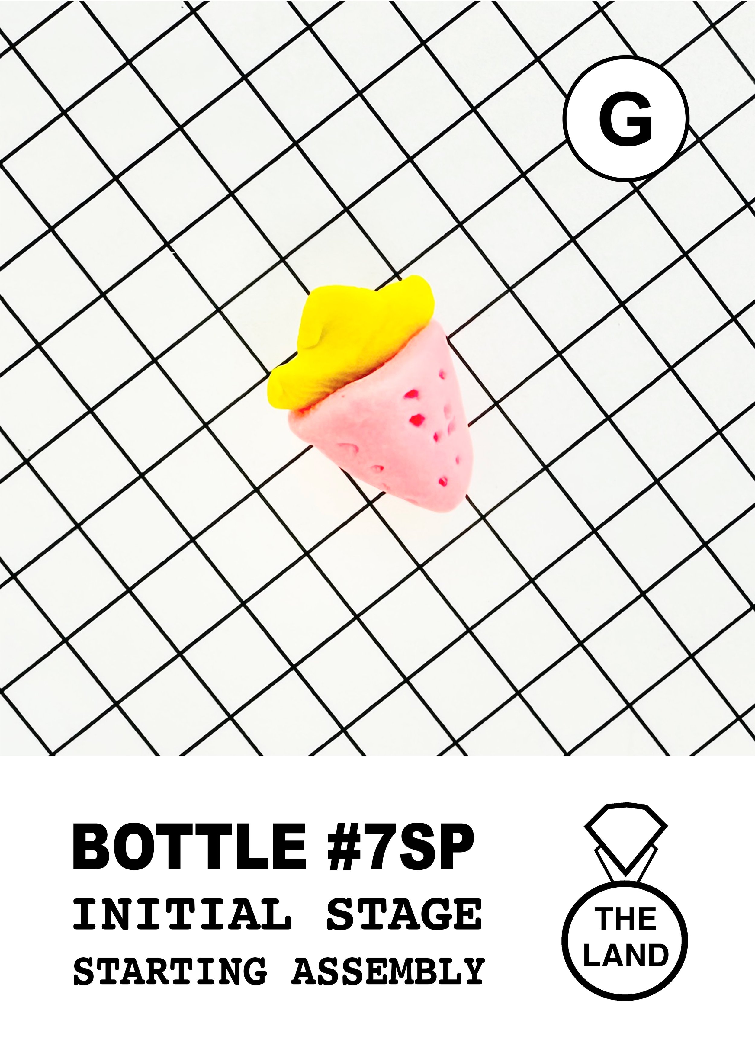 BOTTLE#7-G-INITIAL-STAGE.jpg