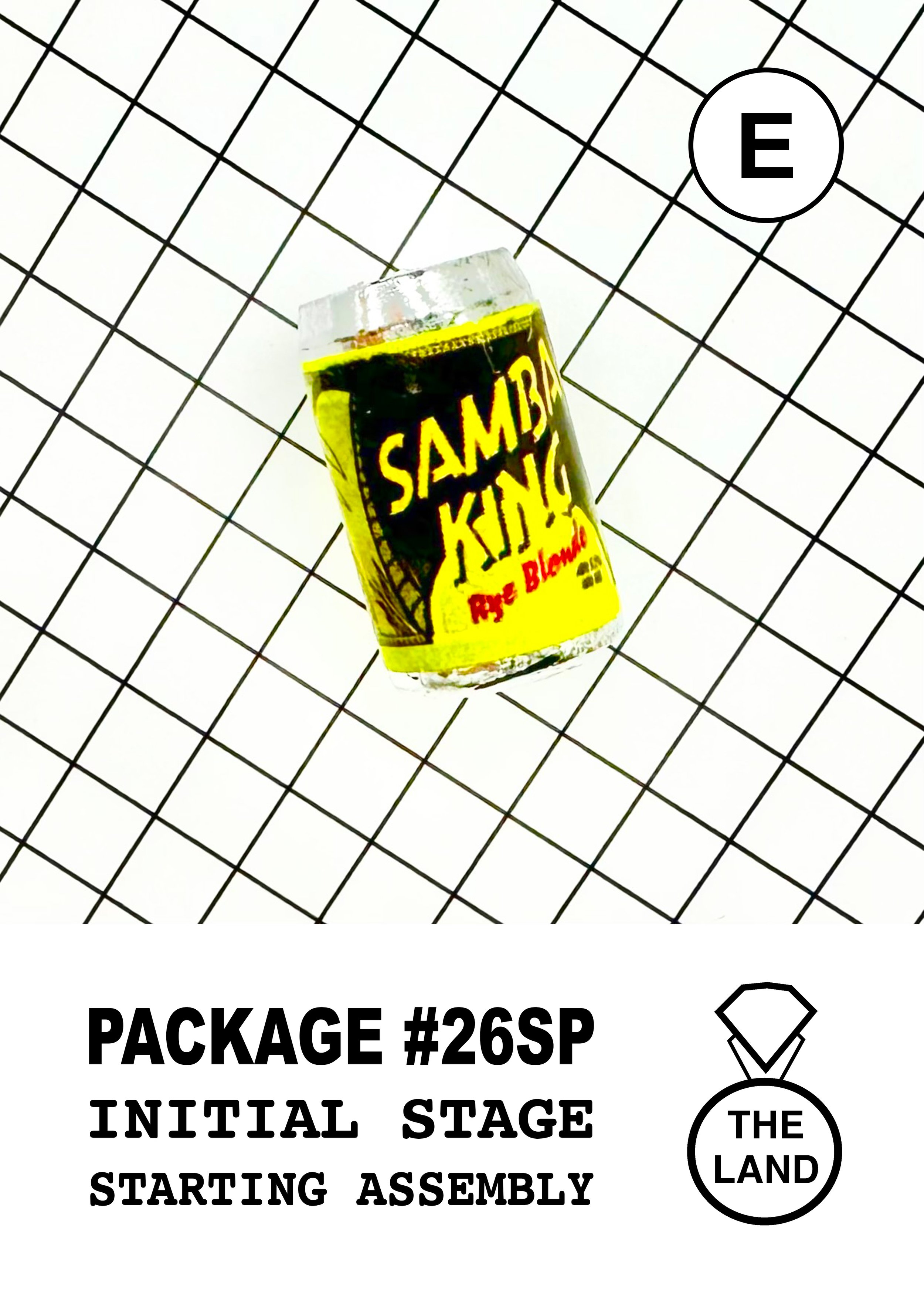 PACKAGE#26-E-INITIAL-STAGE.jpg