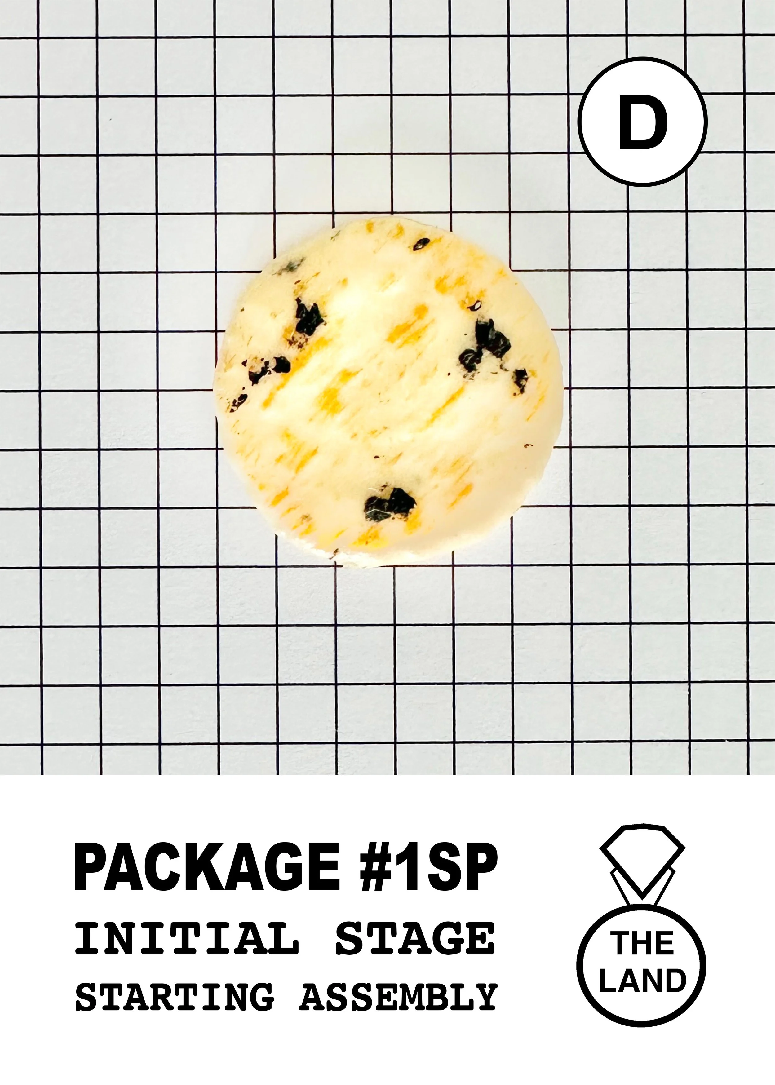 PACKAGE#1-D-INITIAL-STAGE.jpg