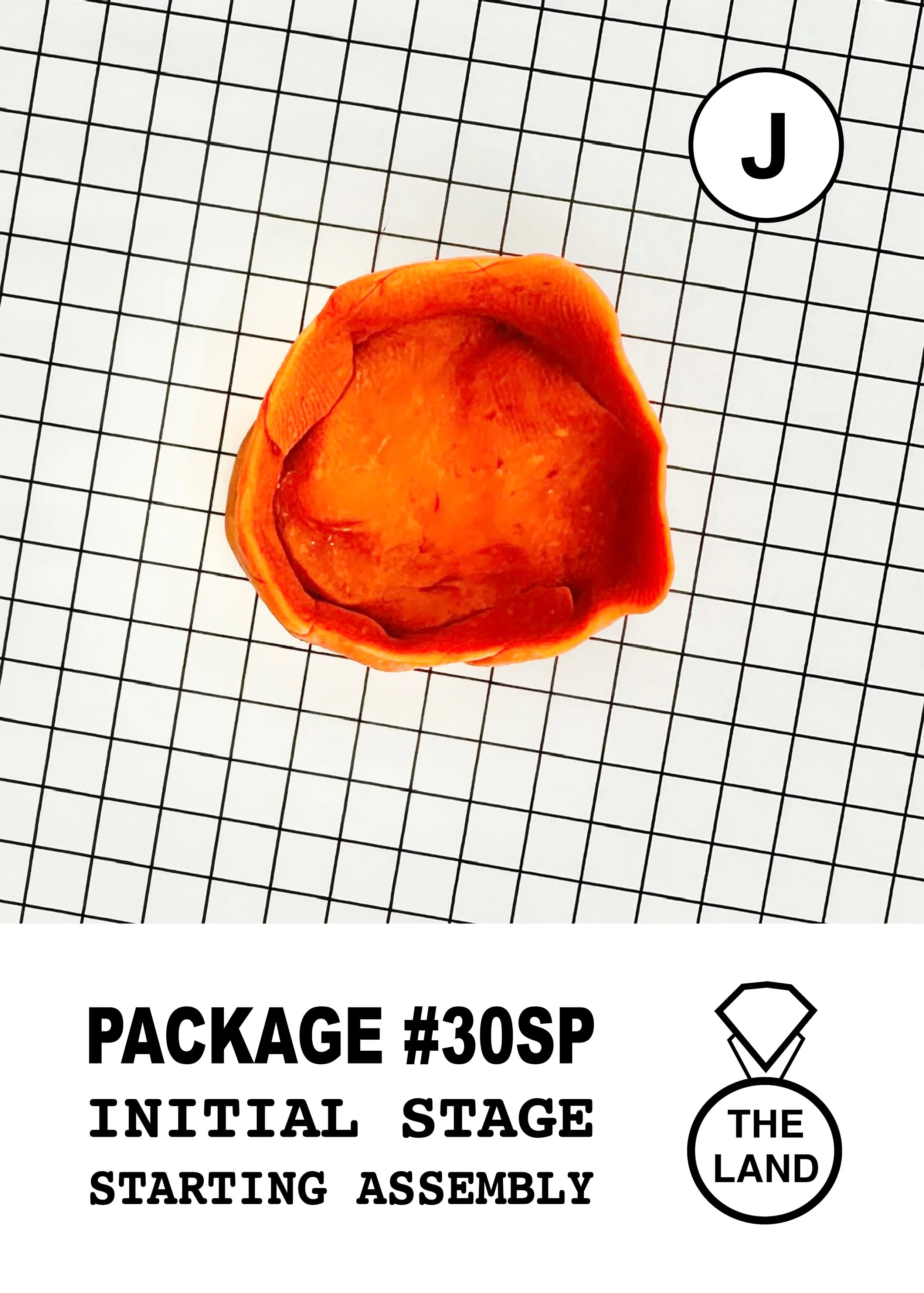 PACKAGE#30-J-INITIAL-STAGE.jpg