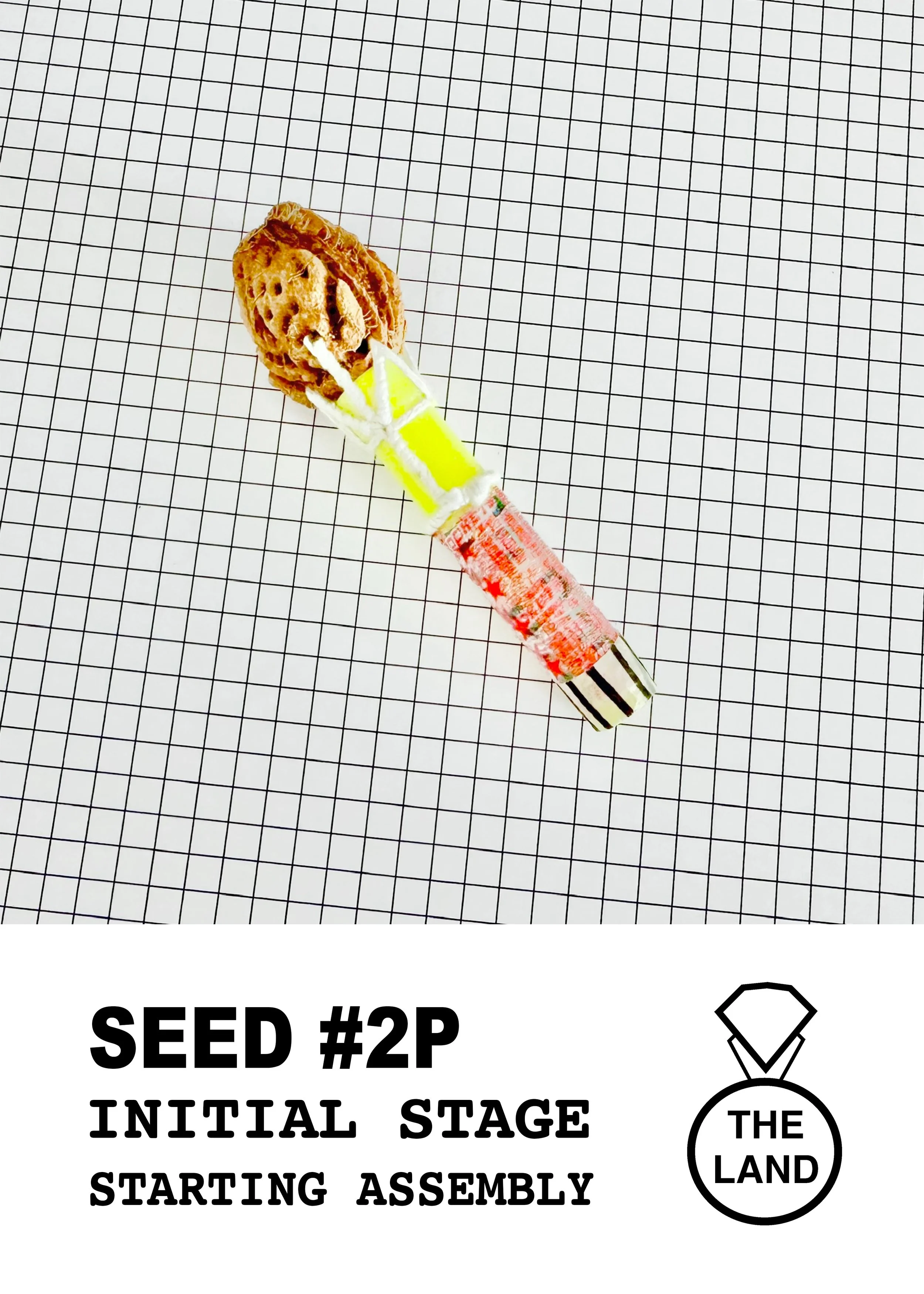 SEED#2-INITIAL-STAGE.jpg
