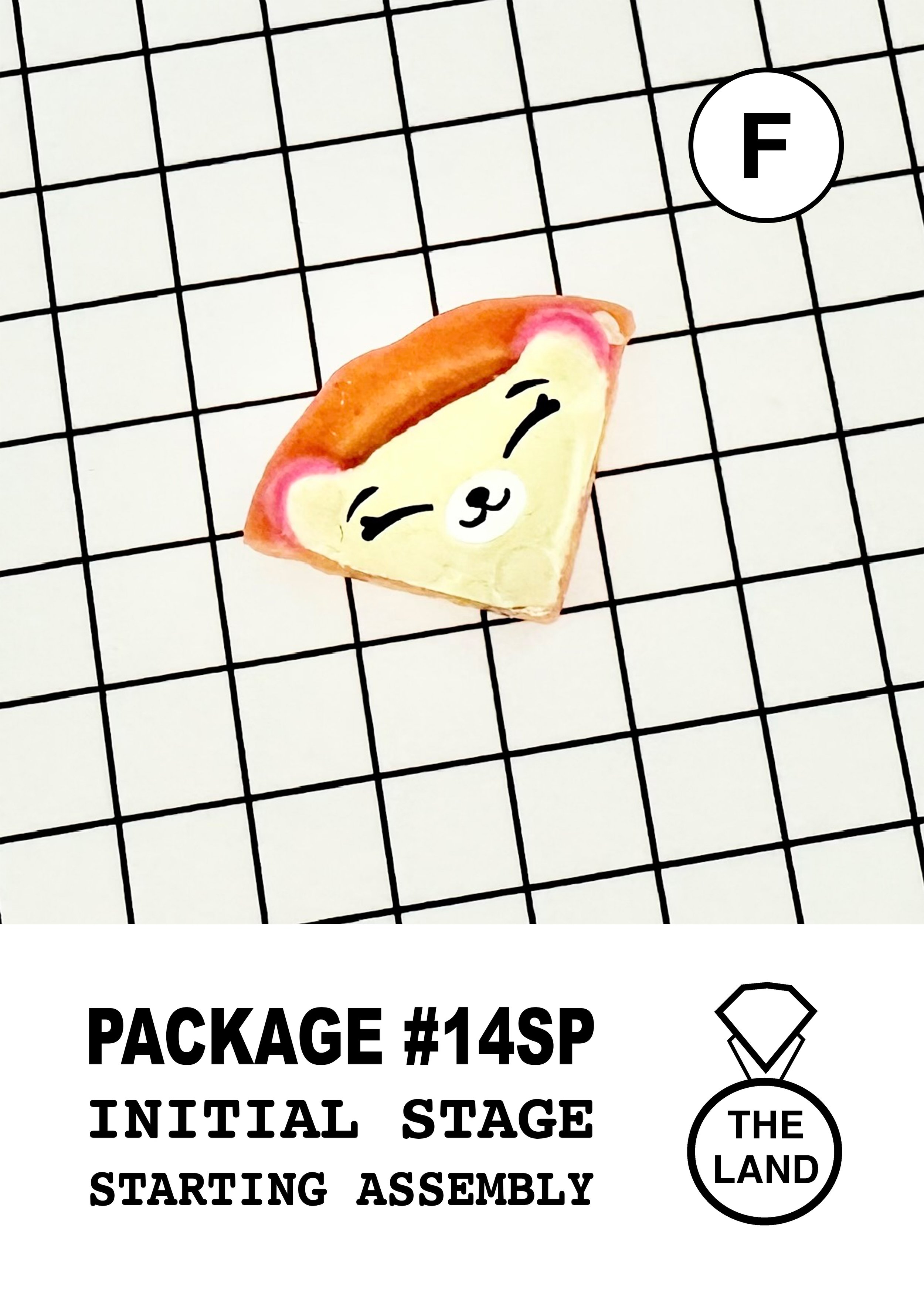 PACKAGE#14-F-INITIAL-STAGE.jpg