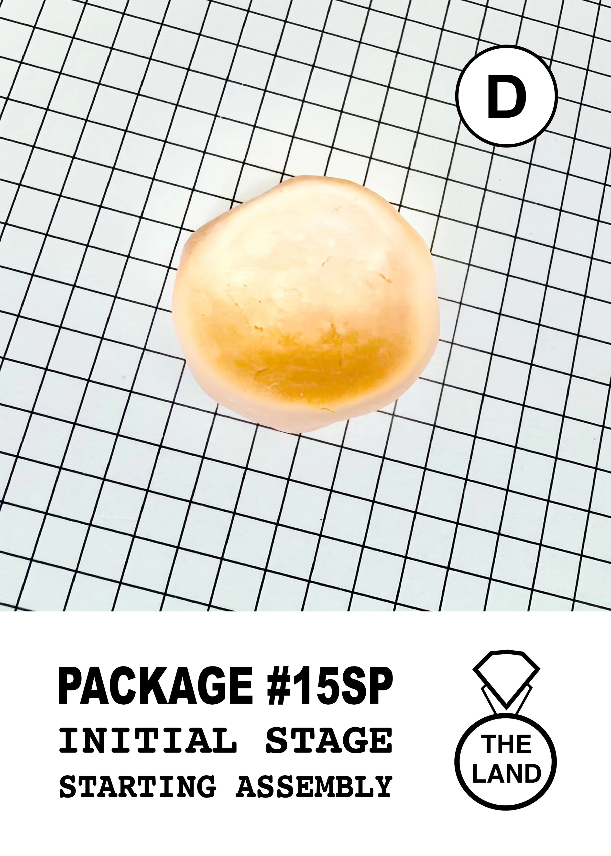 PACKAGE#15-D-INITIAL-STAGE.jpg
