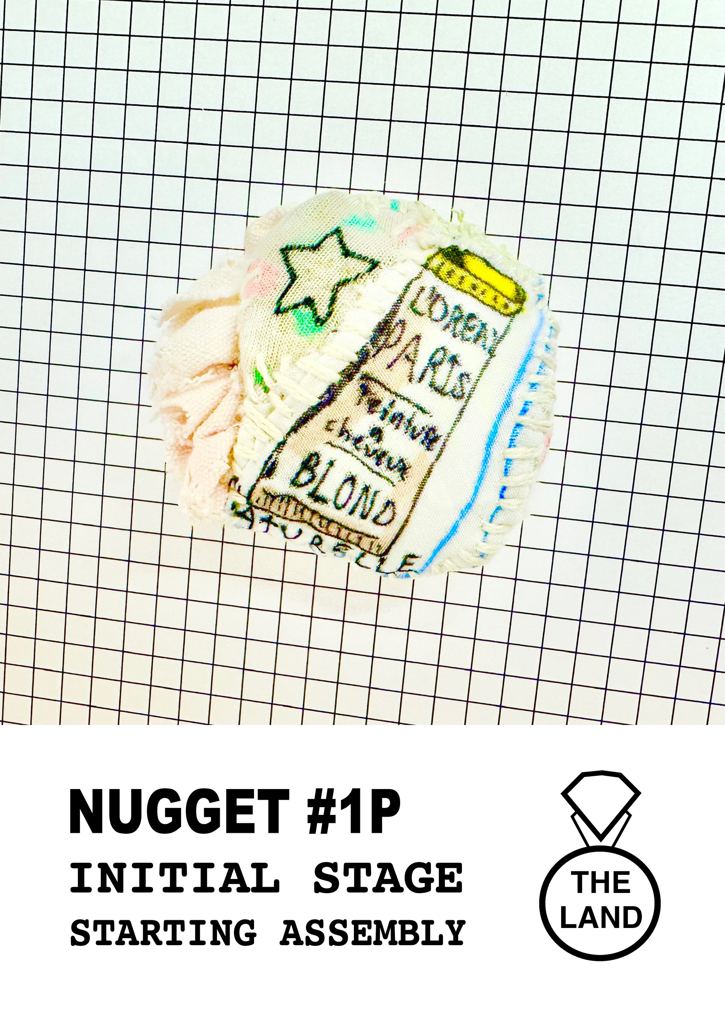 NUGGET#1-INITIAL-STAGE.jpg