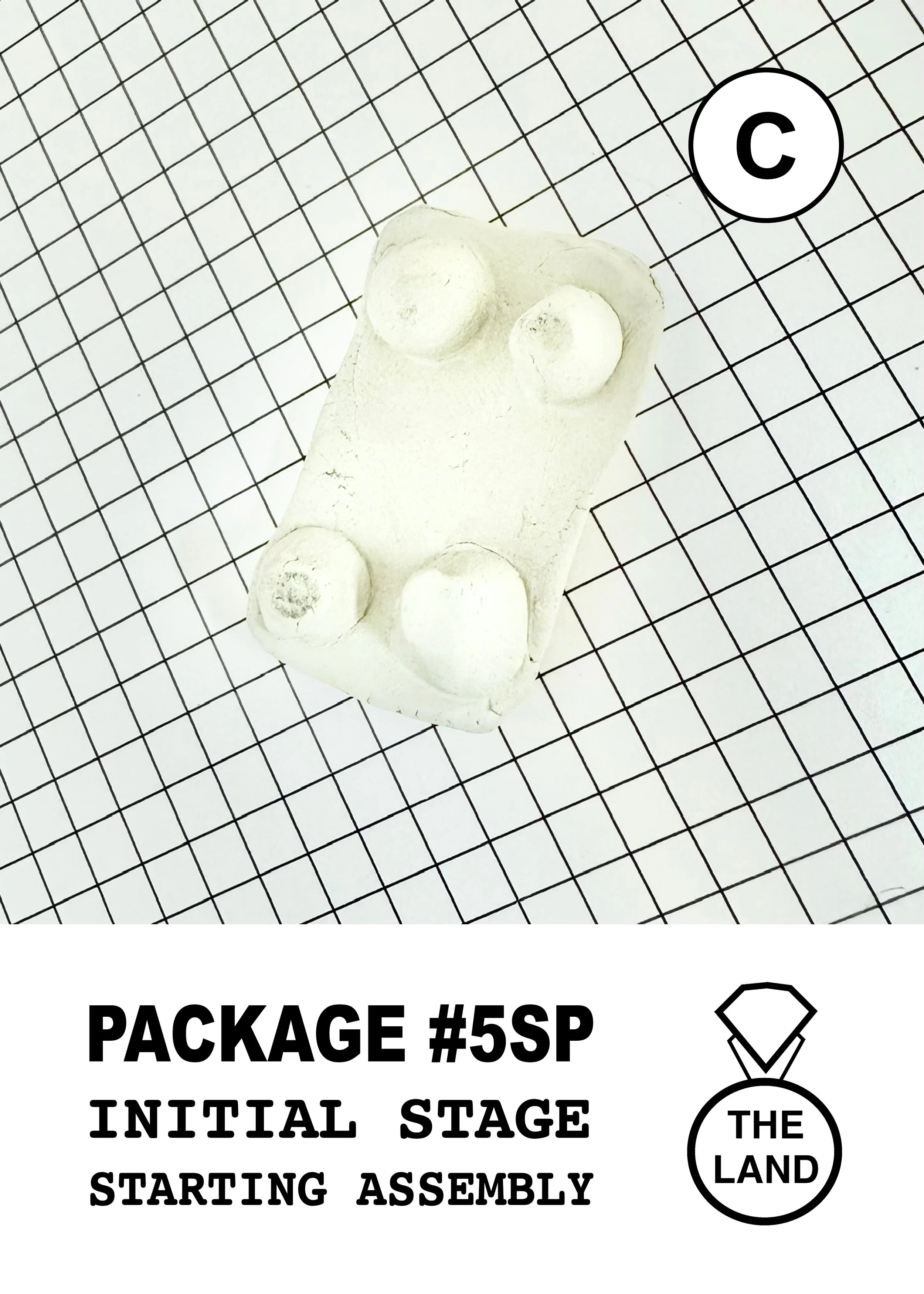 PACKAGE#5-C-INITIAL-STAGE.jpg