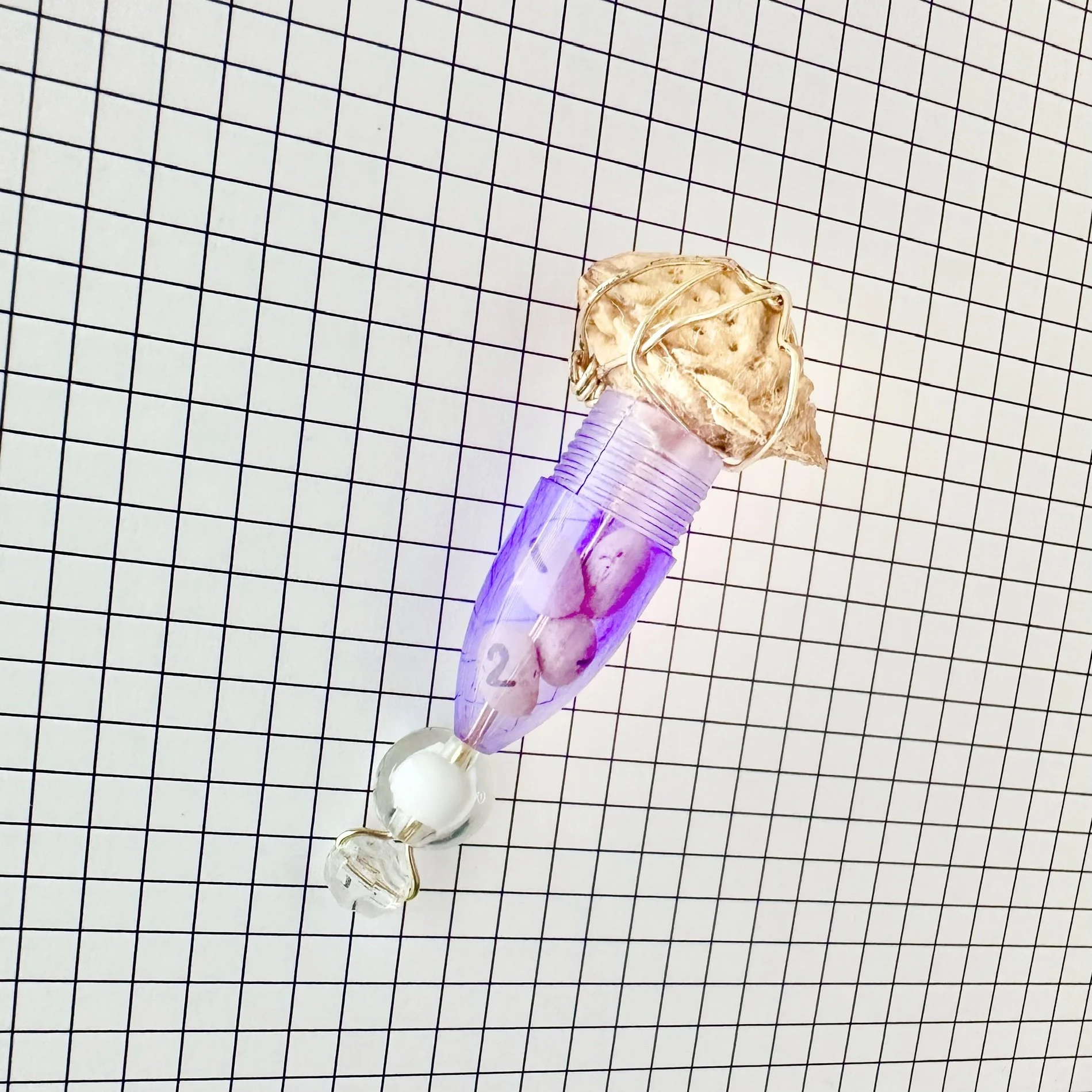 SEED #3P