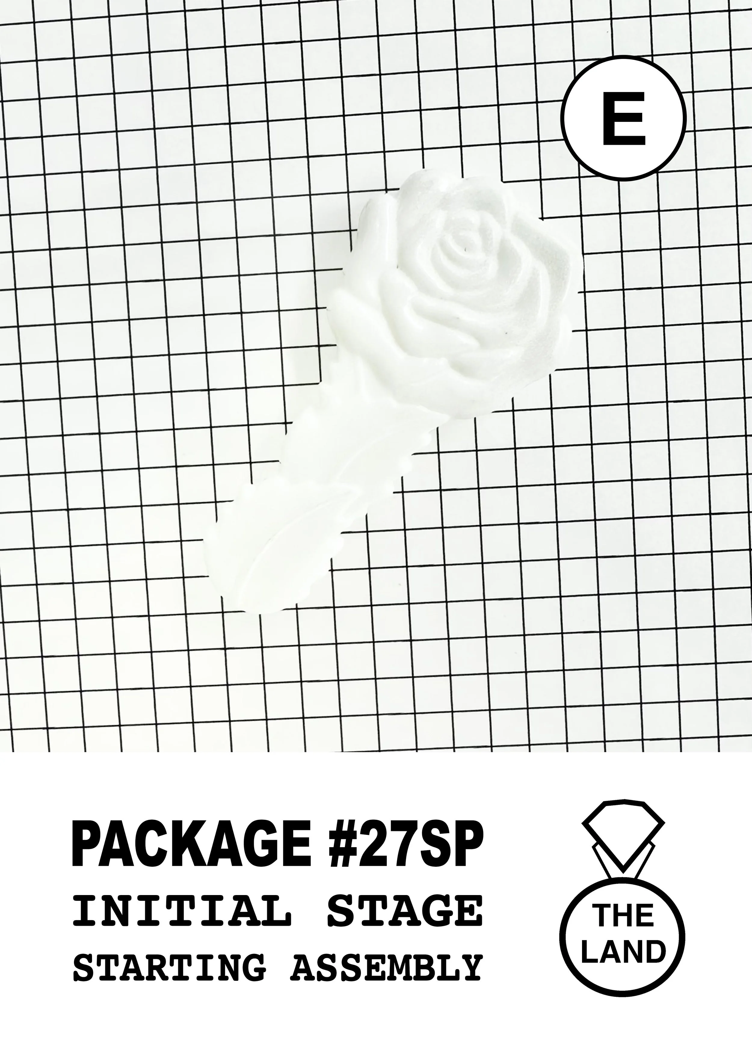 PACKAGE#27-E-INITIAL-STAGE.jpg