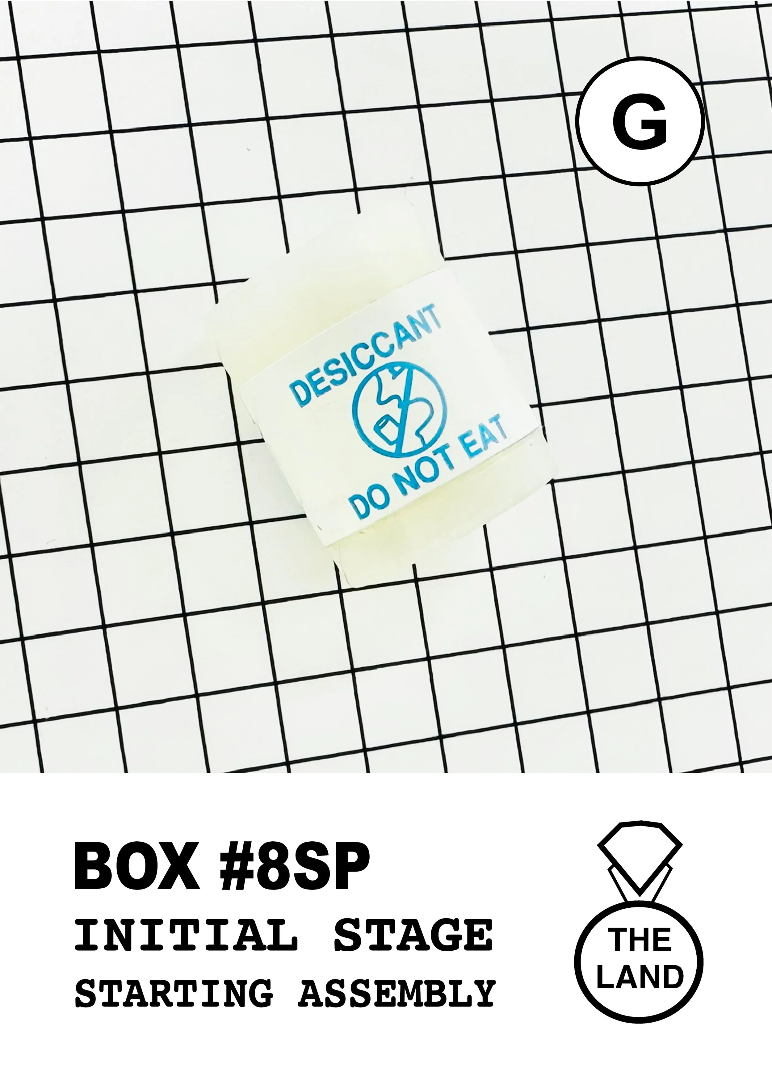 BOX#8-G-INITIAL-STAGE.jpg