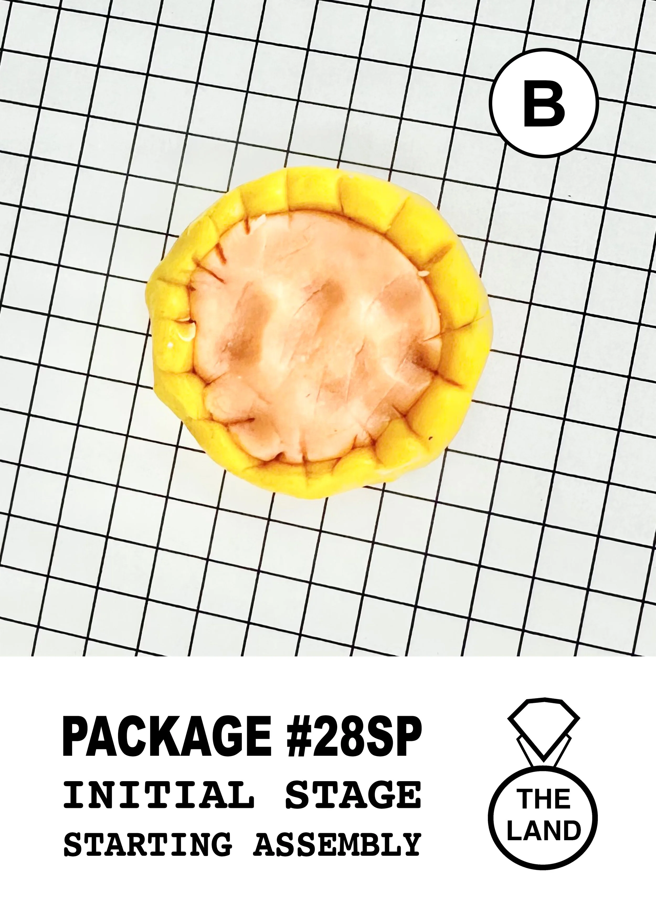 PACKAGE#28-B-INITIAL-STAGE.jpg