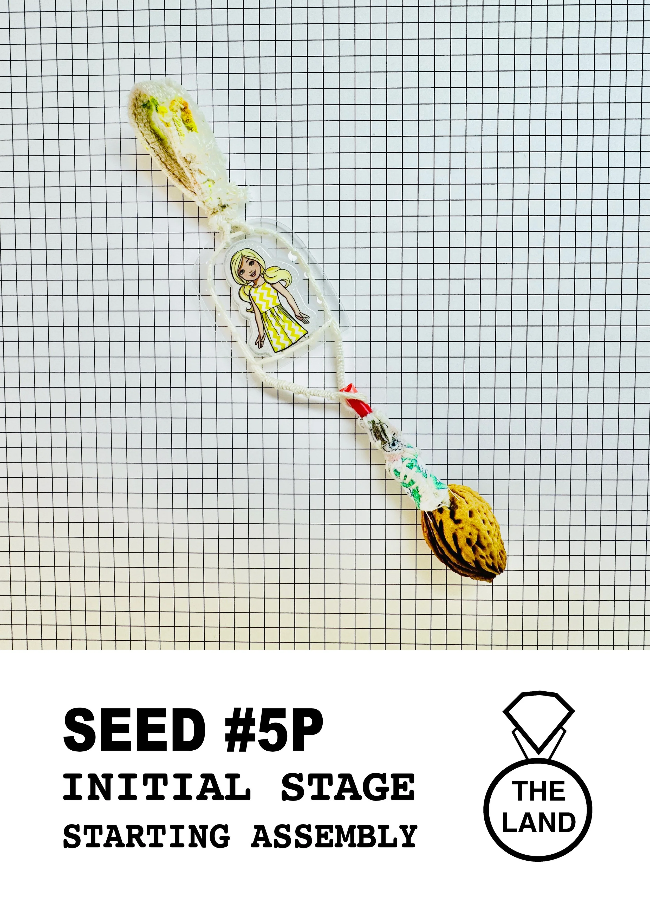 SEED #5P